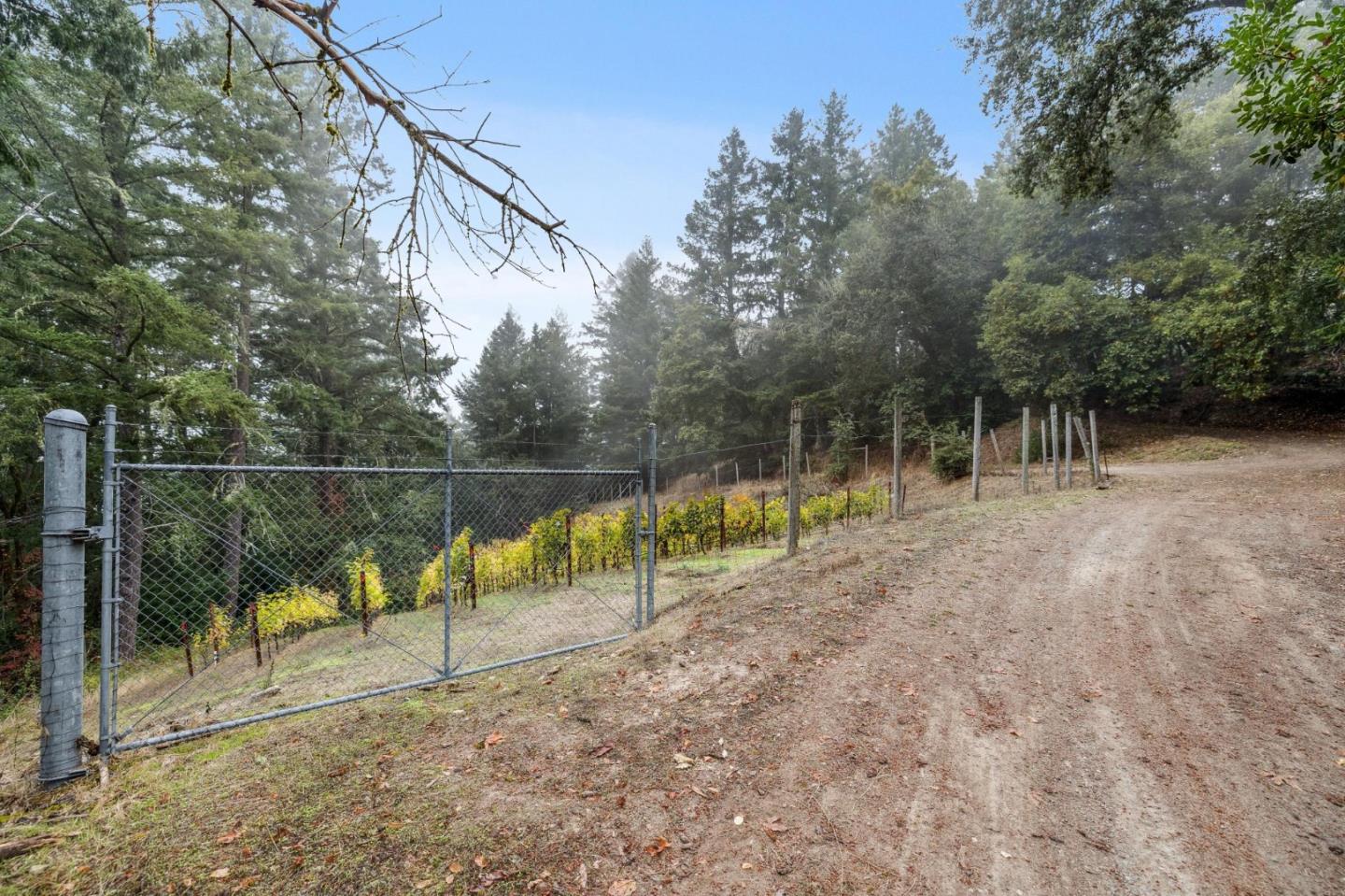 19089 Skyline Boulevard