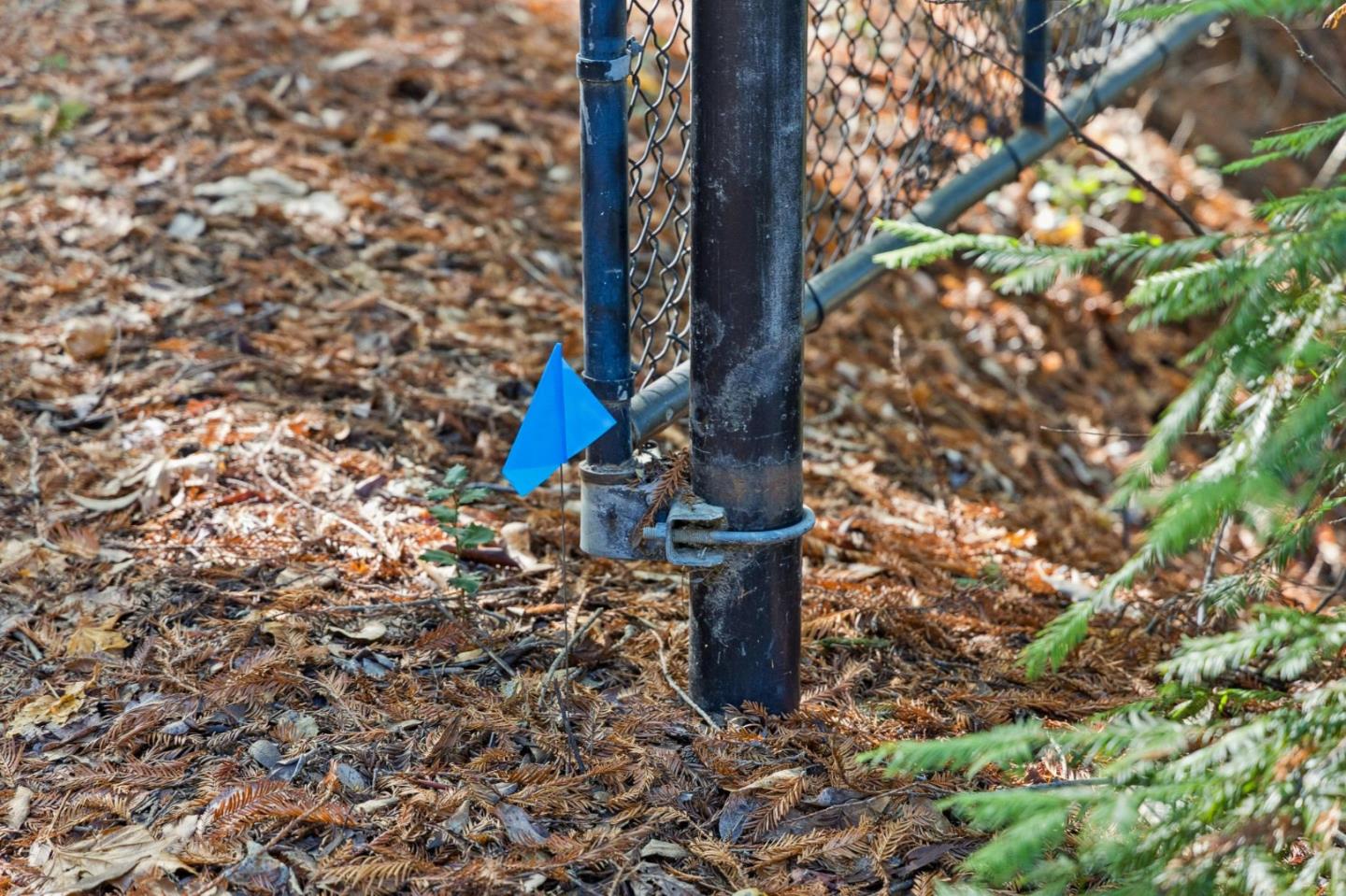 19089 Skyline Boulevard