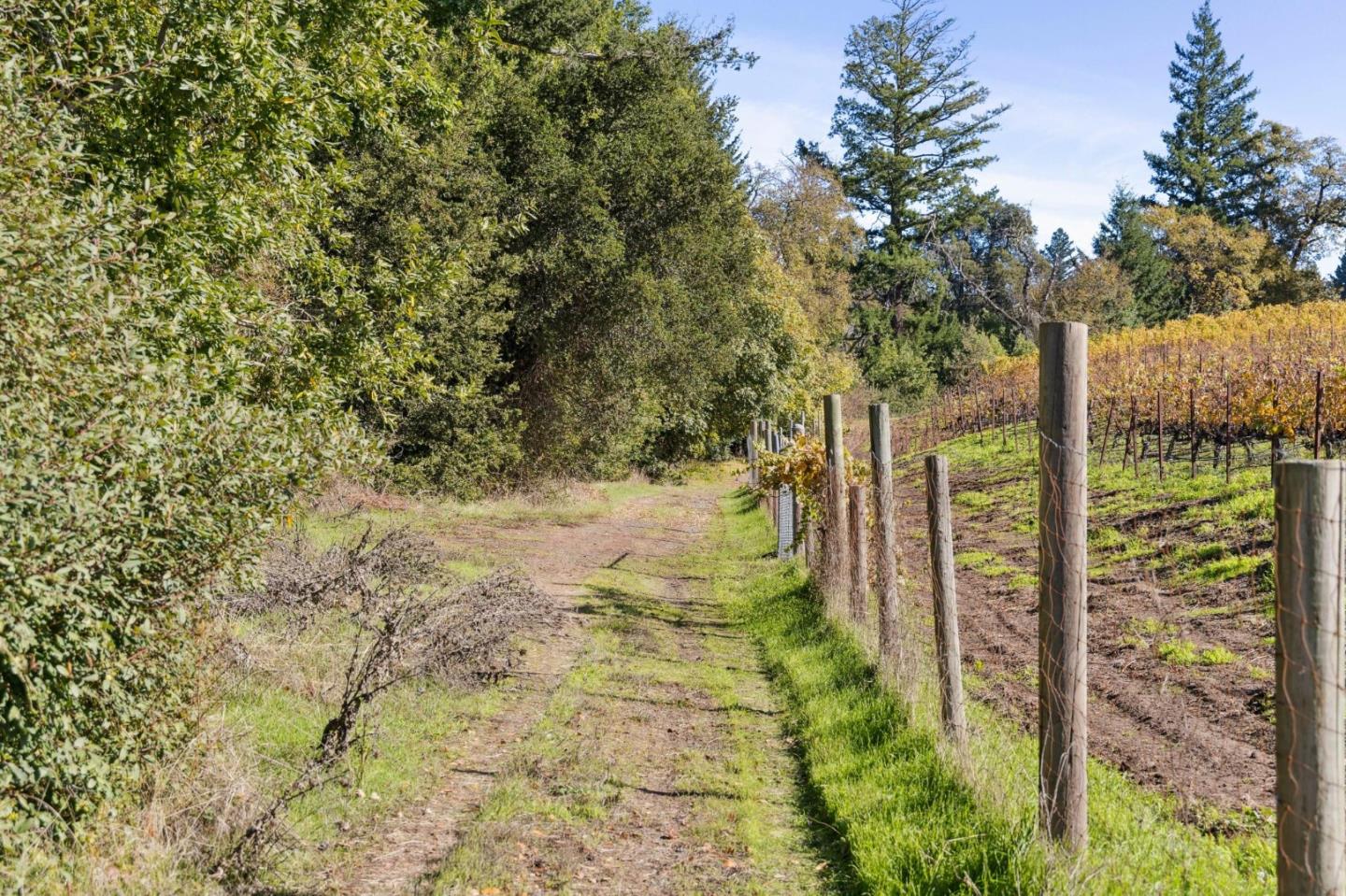 19089 Skyline Boulevard