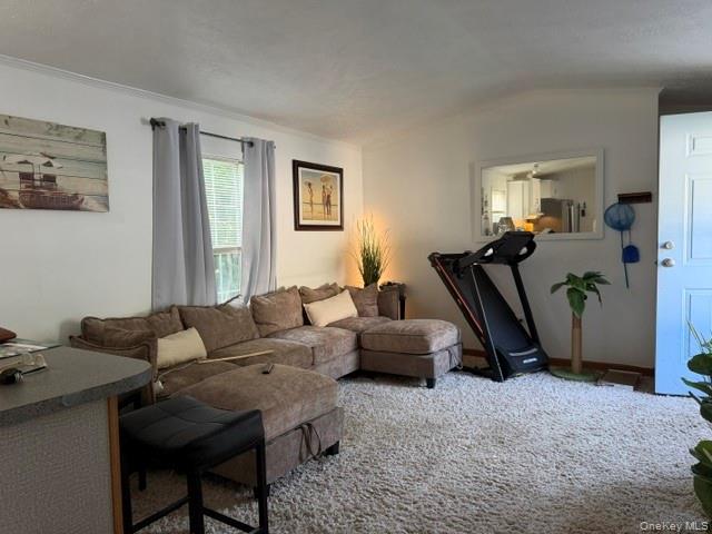 1538 Speonk Riverhead Road Unit: 7 Circle Drive