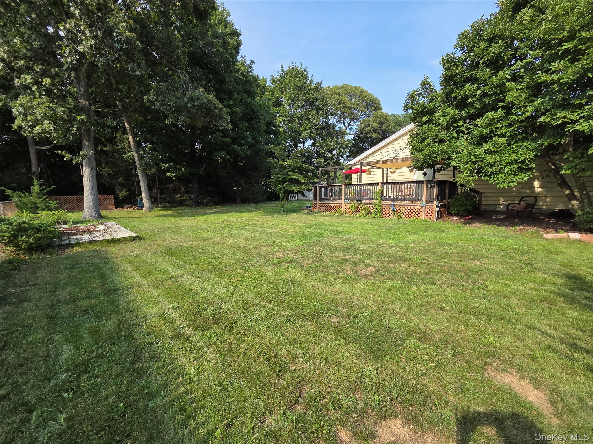 33 Elmwood Avenue