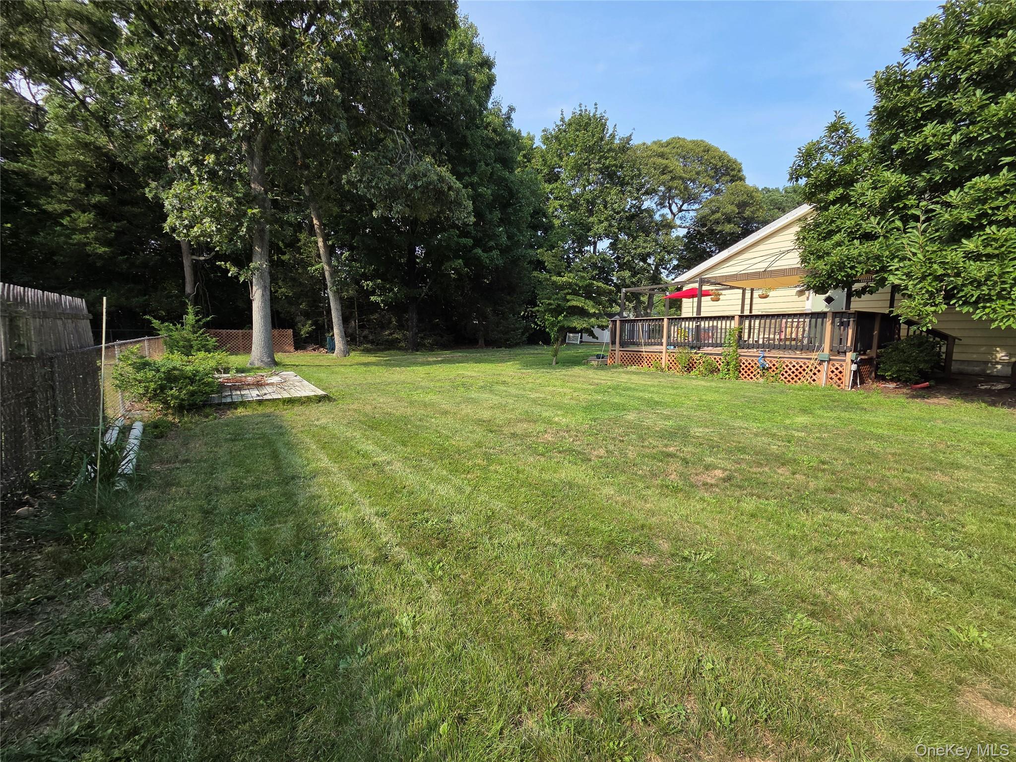 33 Elmwood Avenue