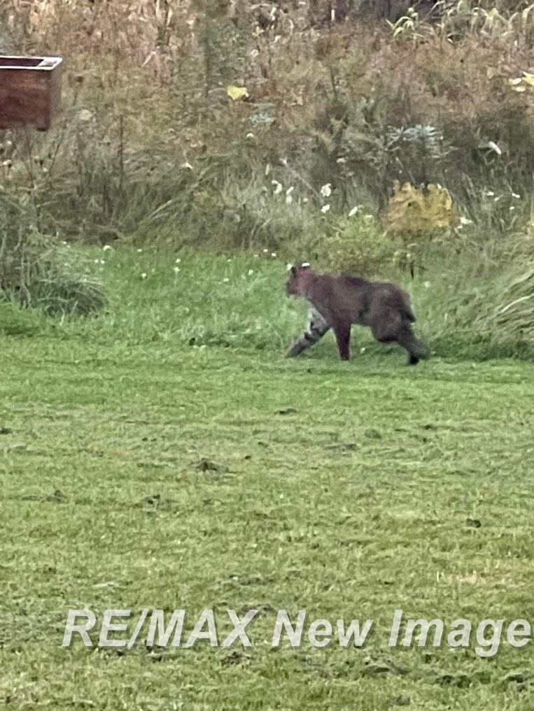 859 E Gordonville Road