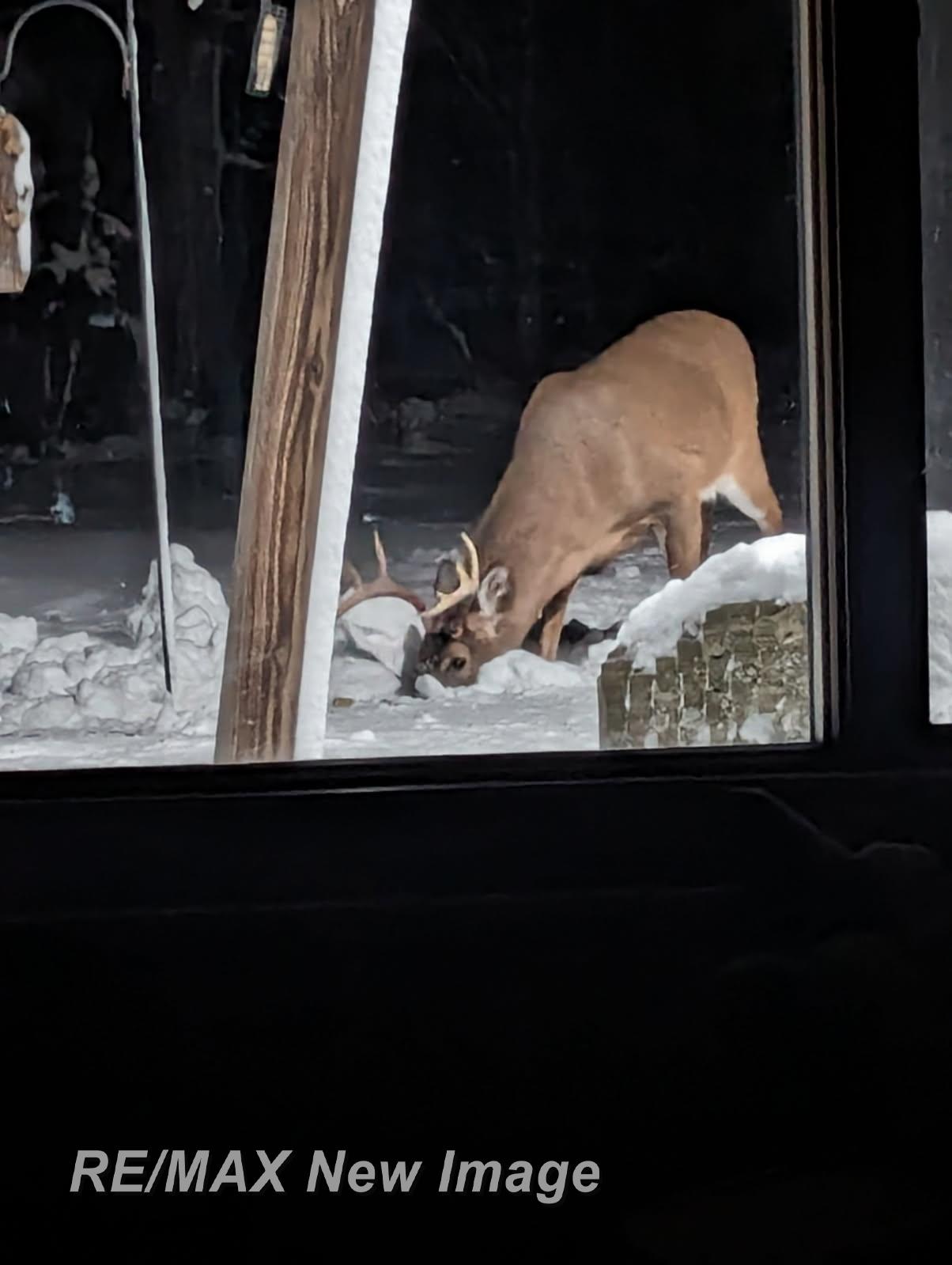 859 E Gordonville Road