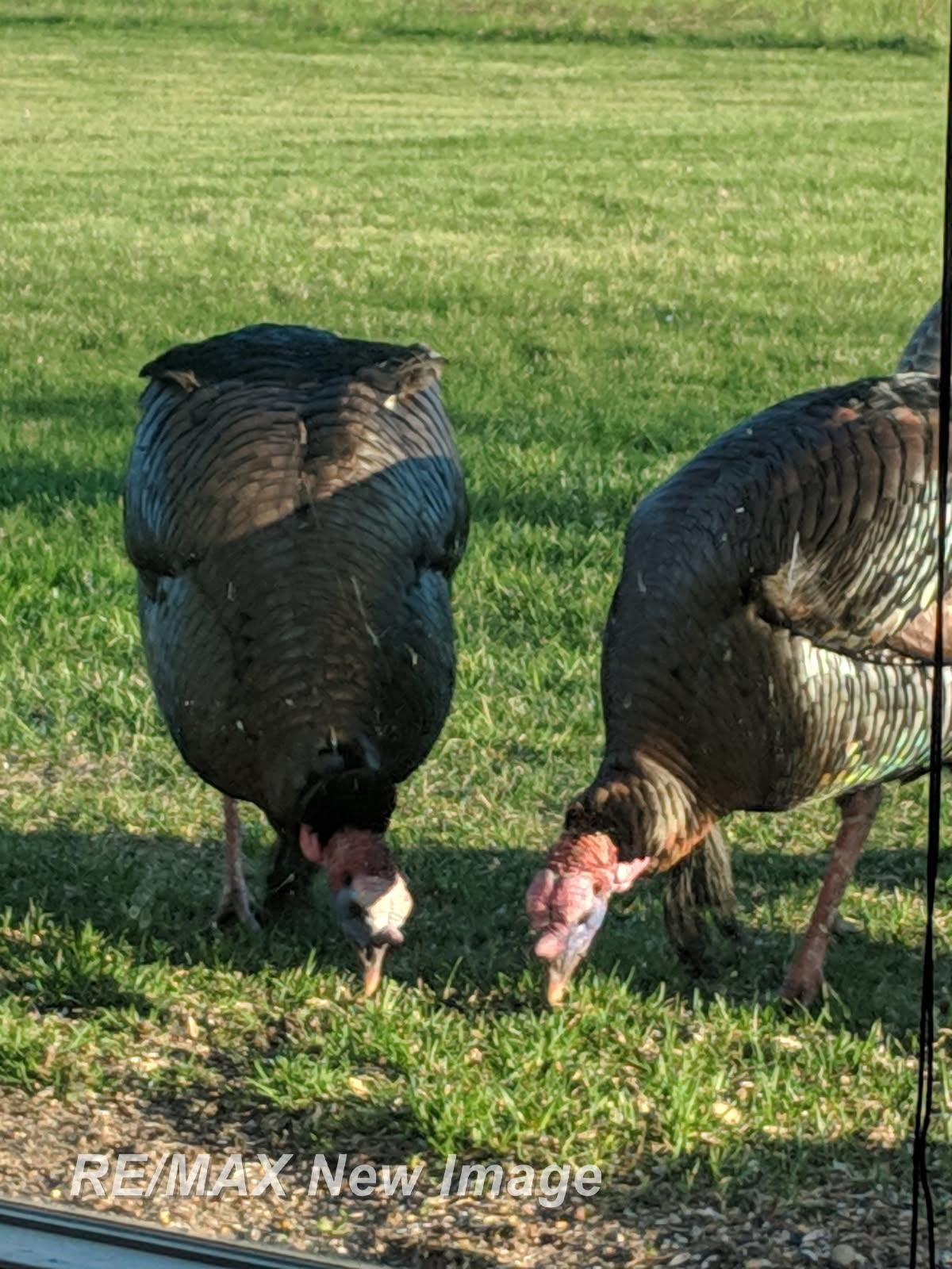 859 E Gordonville Road