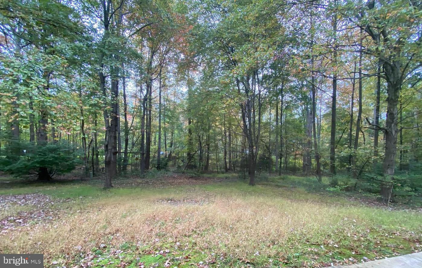 1631 BENNINGTON HOLLOW LN