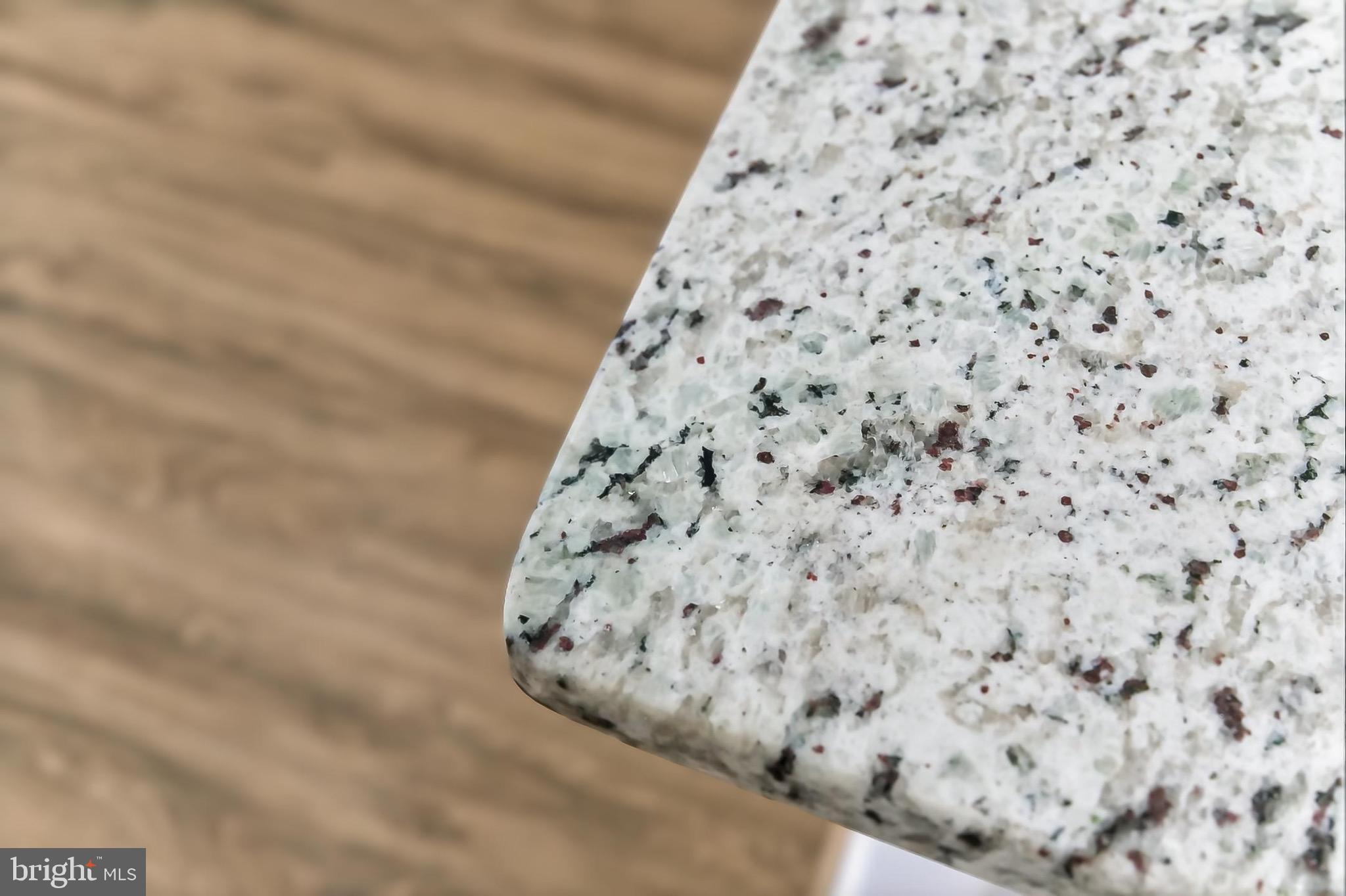 1520 NORTHERN NECK DRIVE 101