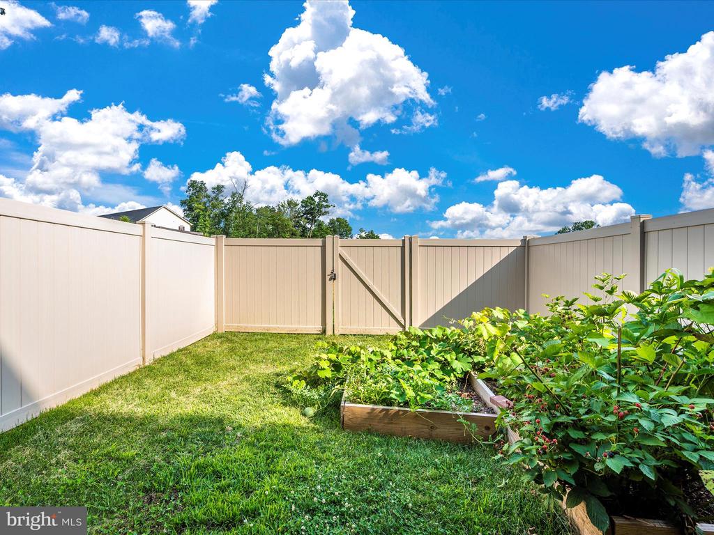 10633 Saponi Dr