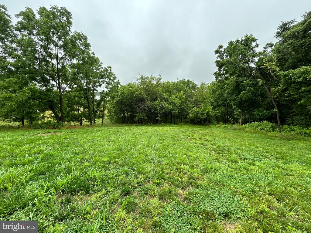 9647 Liberty Rd