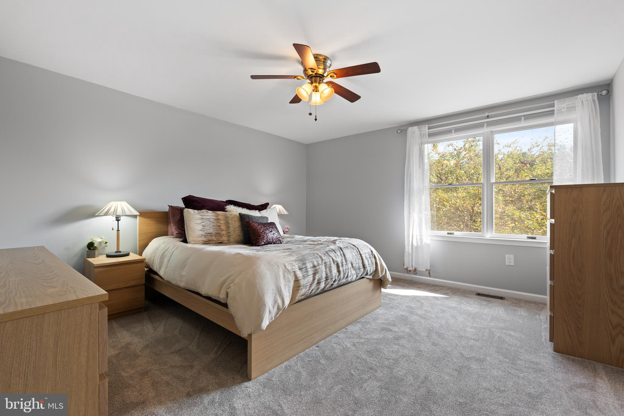 8028 HOLLOW REED COURT