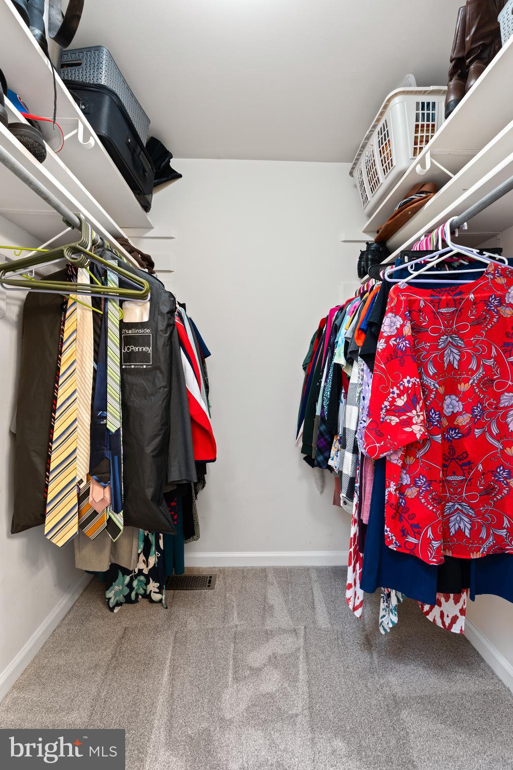 8028 HOLLOW REED COURT