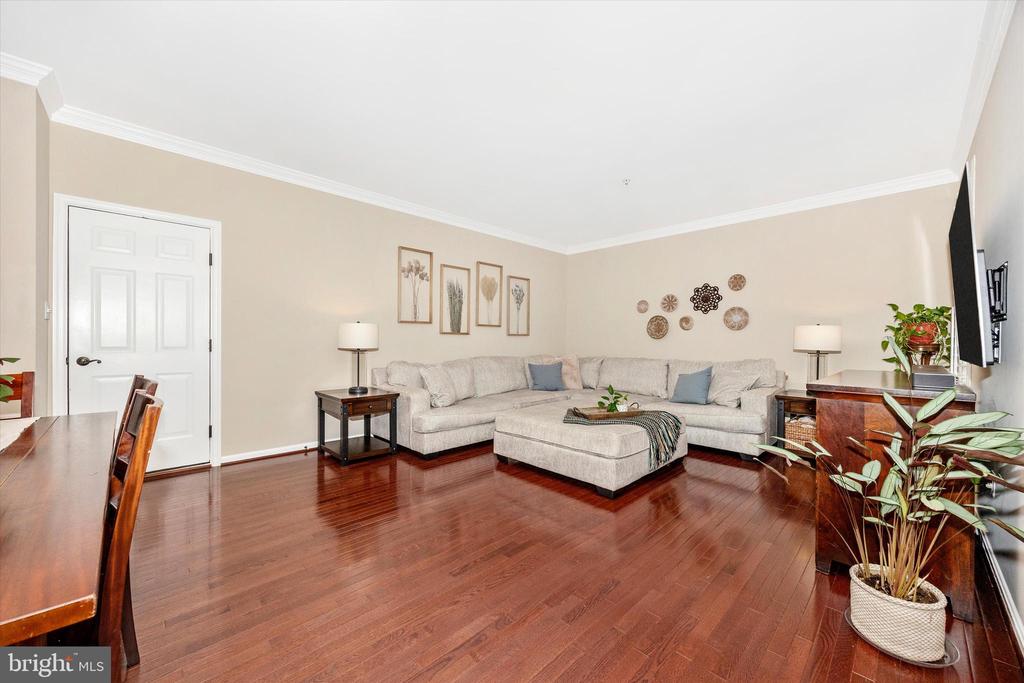1133 WILCOX COURT