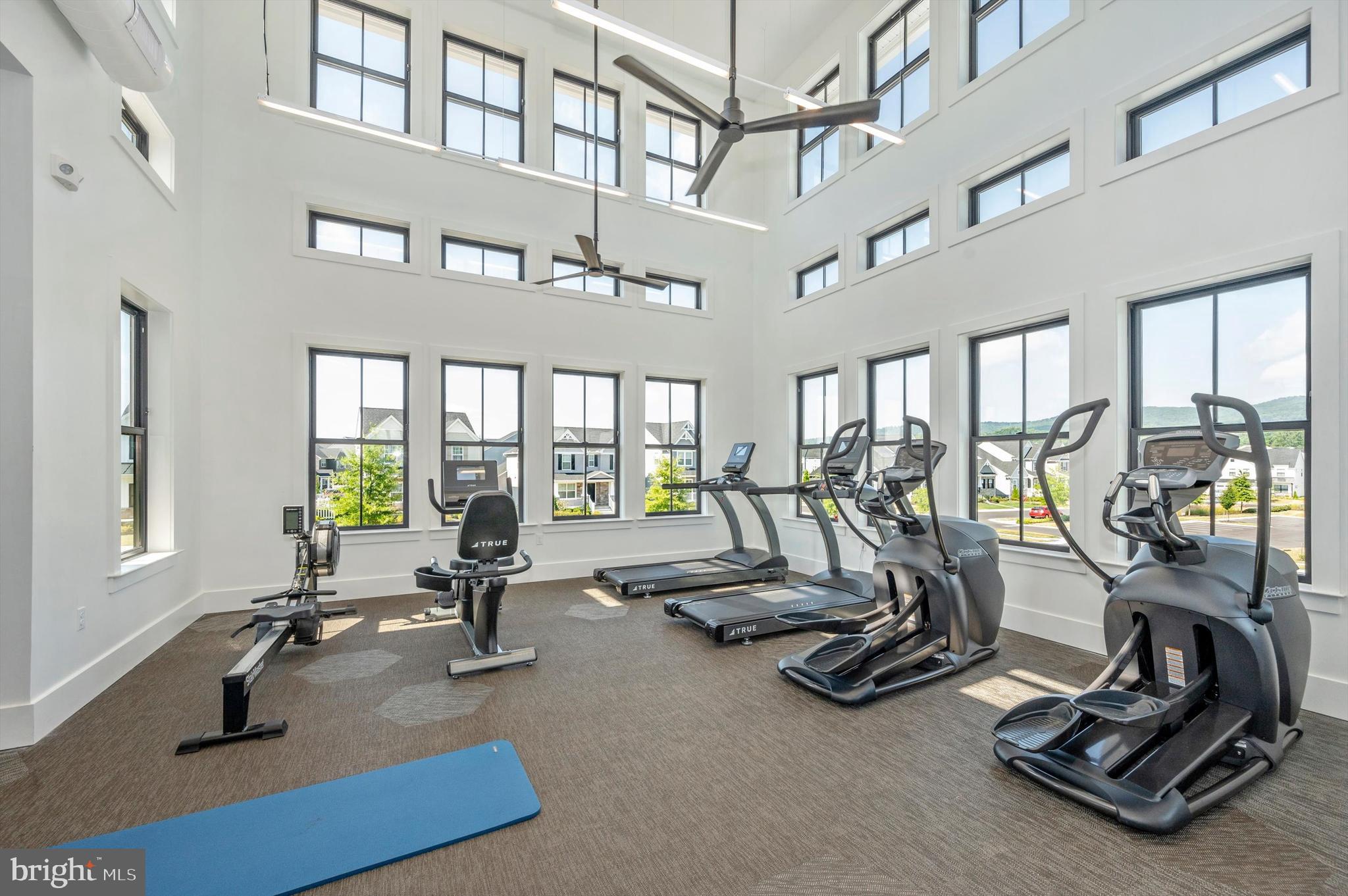 2916 FENCE BUSTER CT