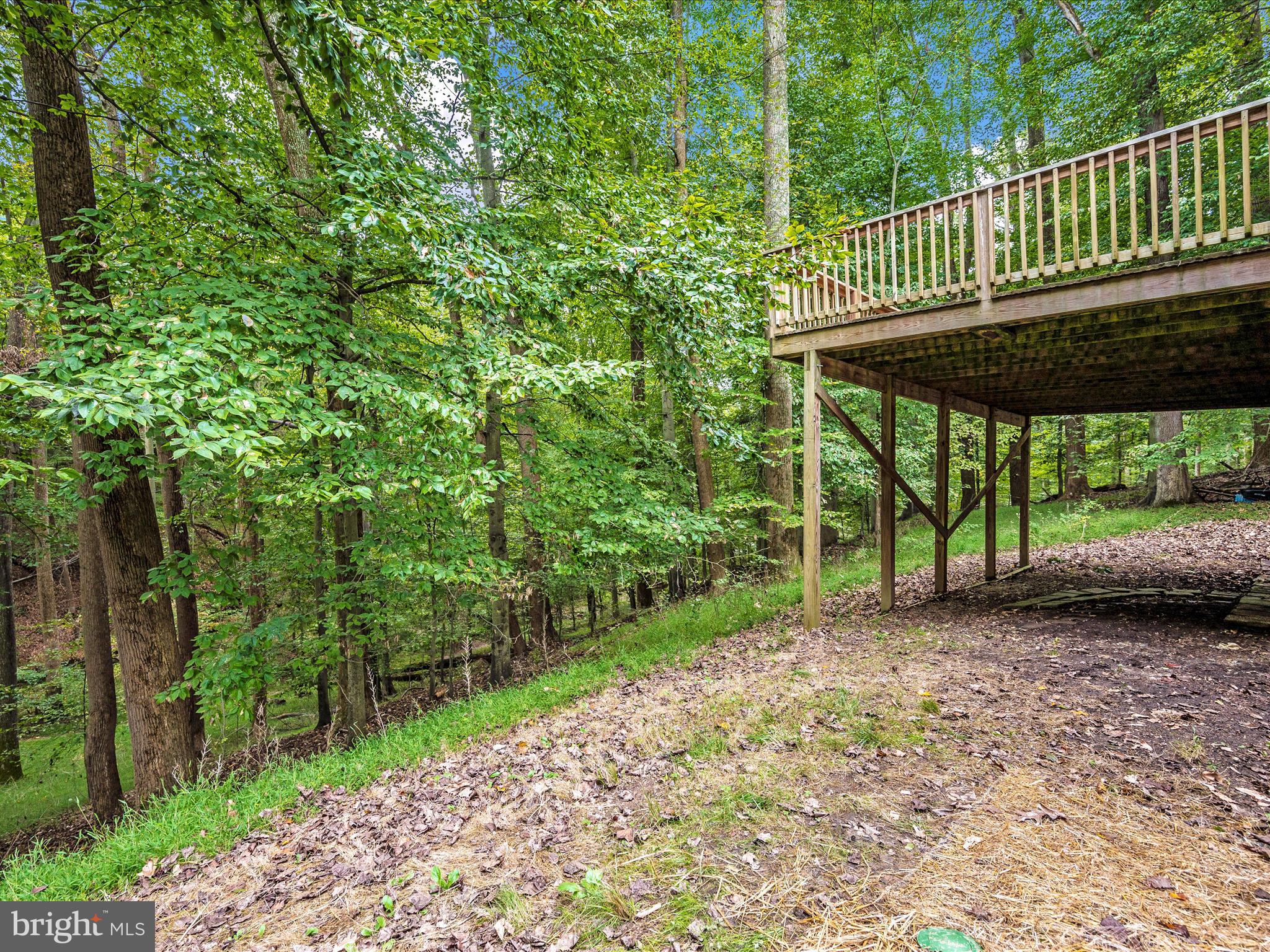 10084 GREEN CLOVER DRIVE