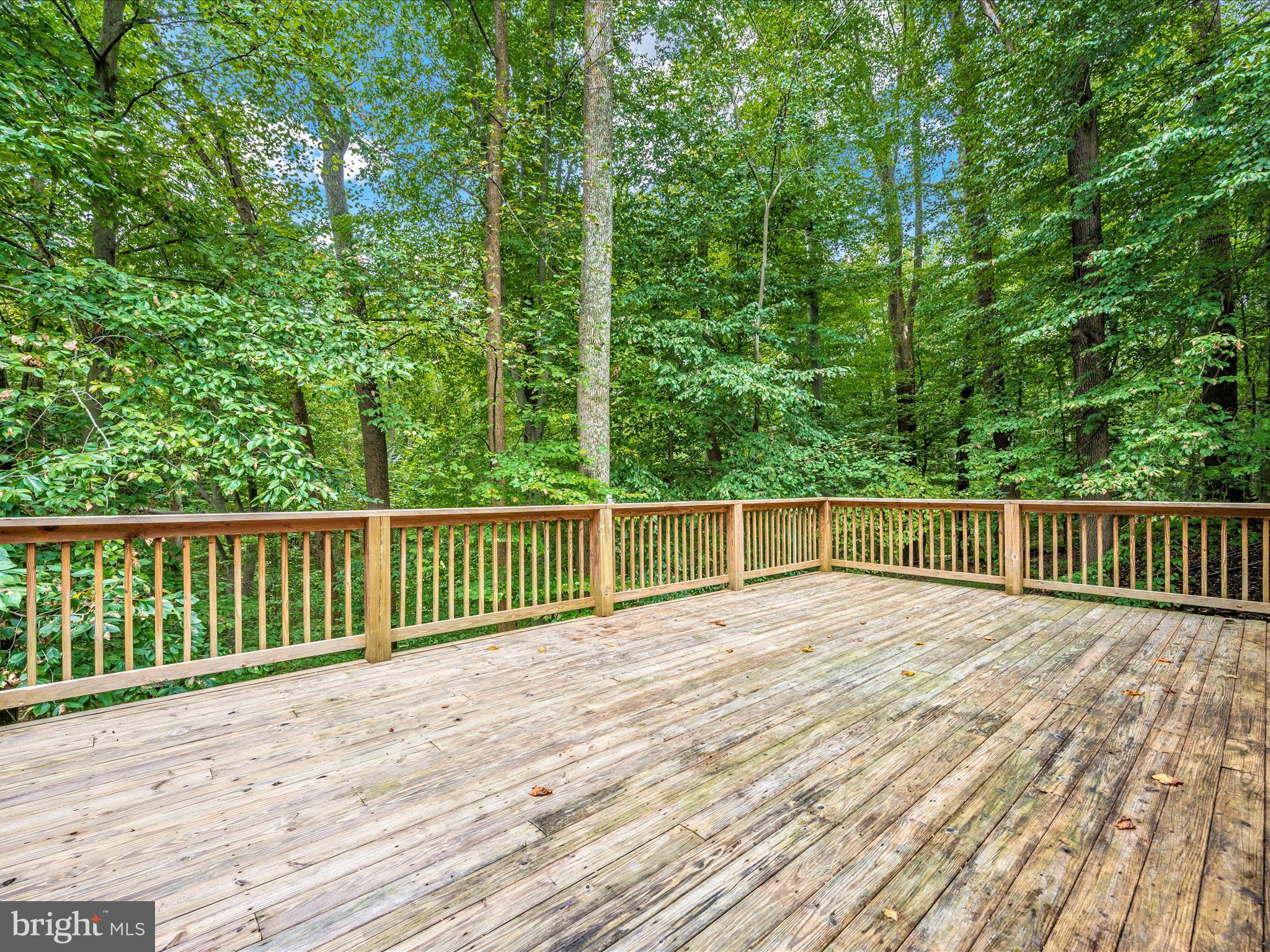 10084 GREEN CLOVER DRIVE