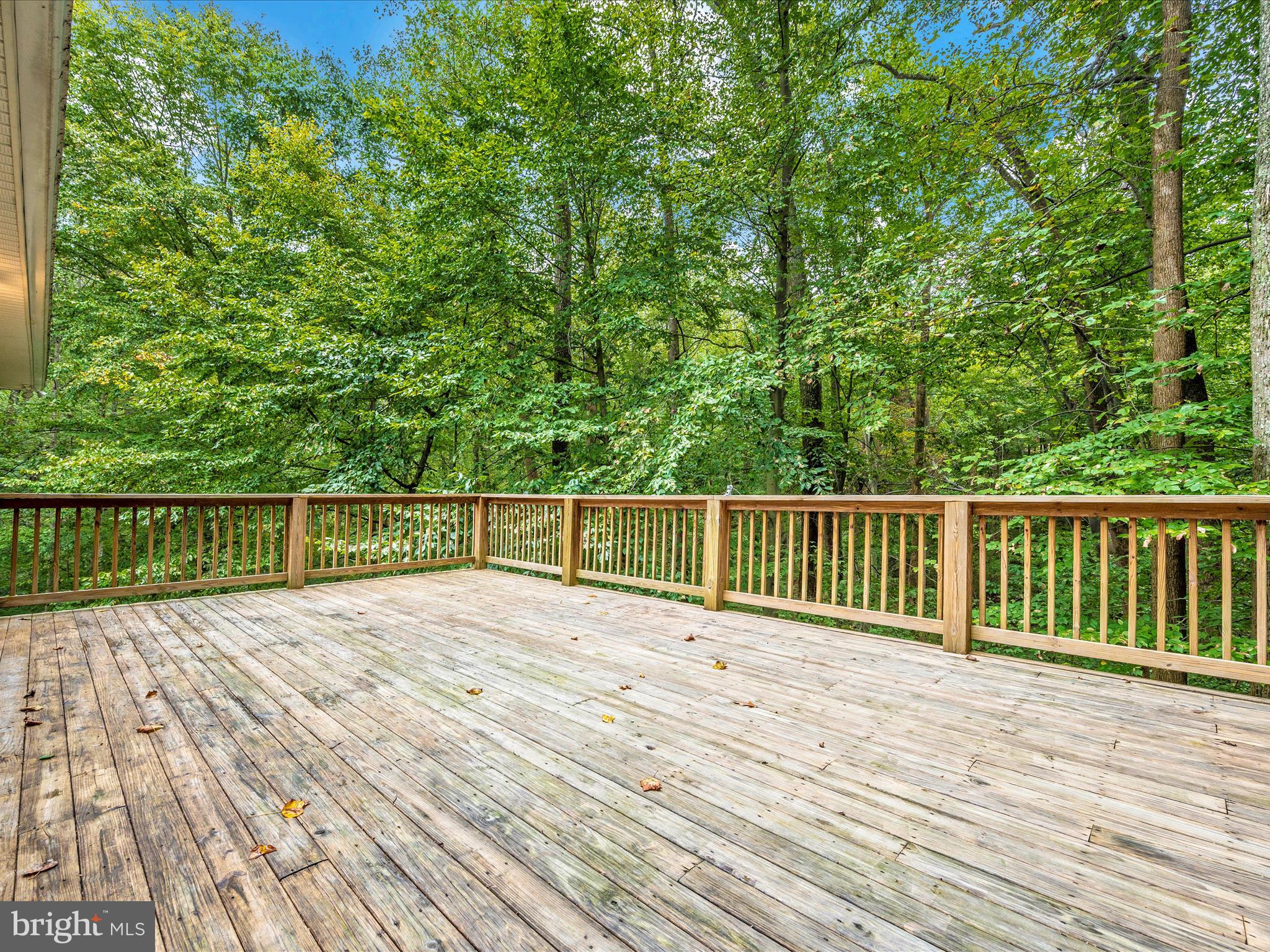 10084 GREEN CLOVER DRIVE