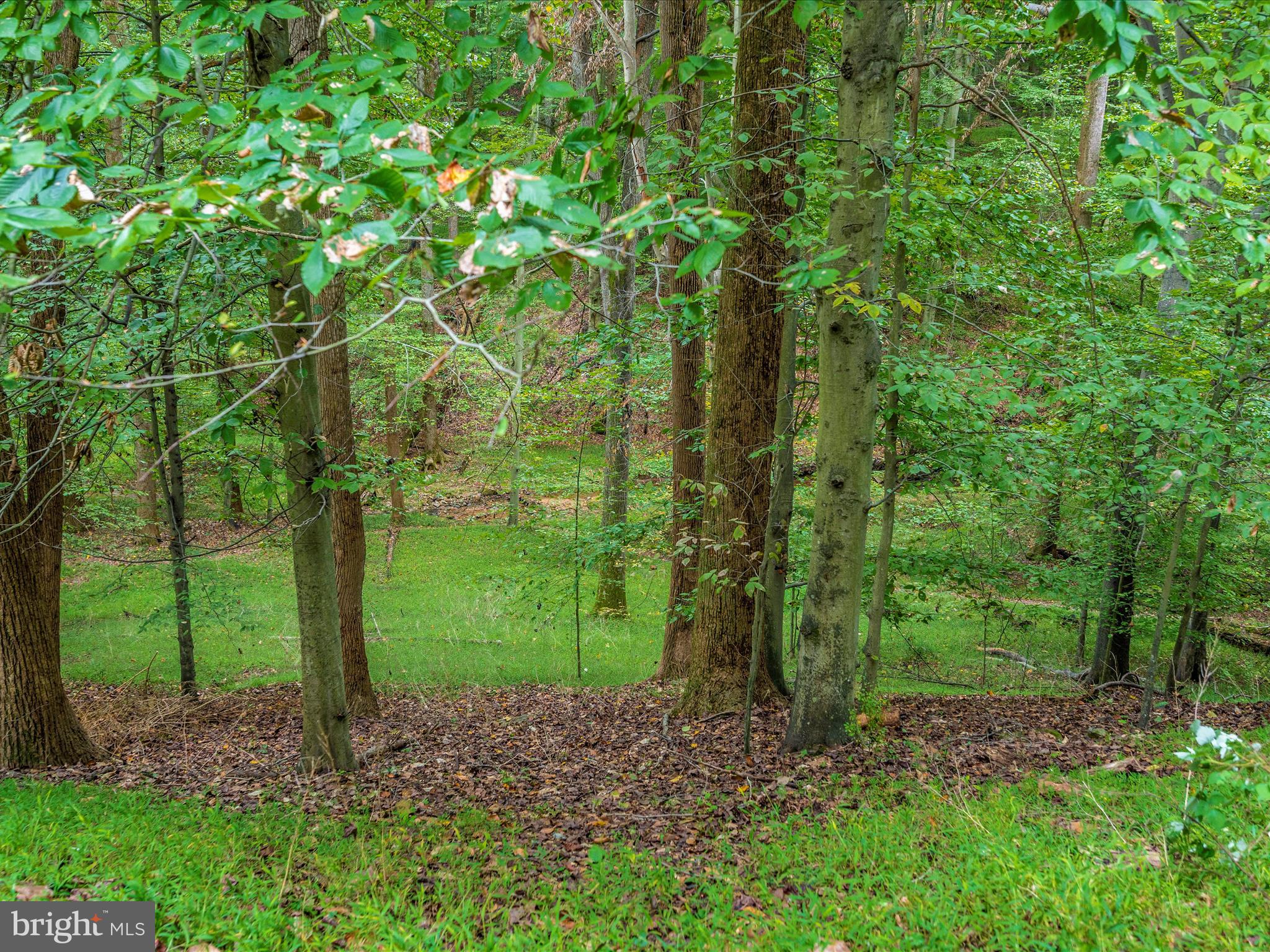 10084 GREEN CLOVER DRIVE