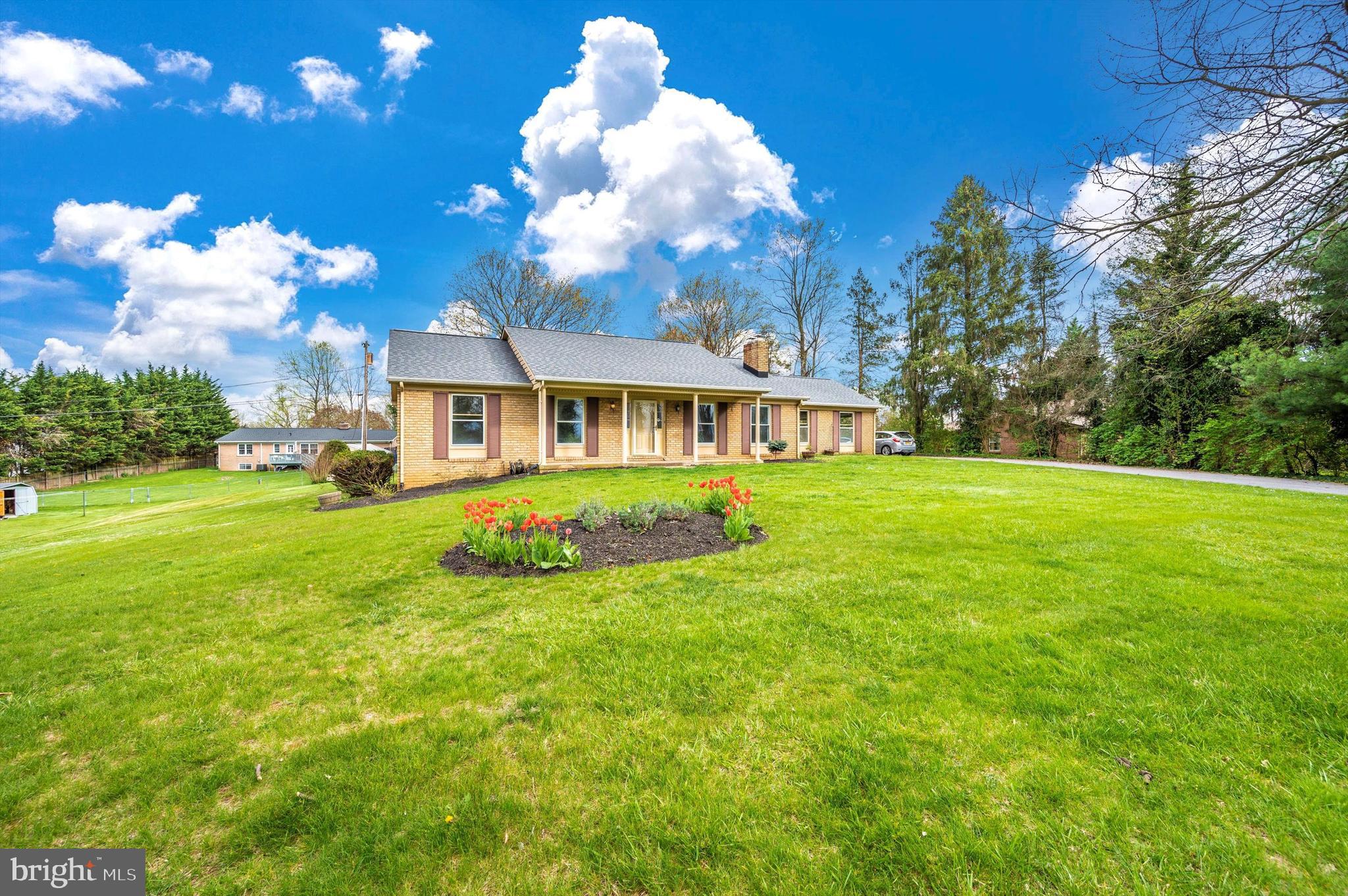 10113 Downsville Pike