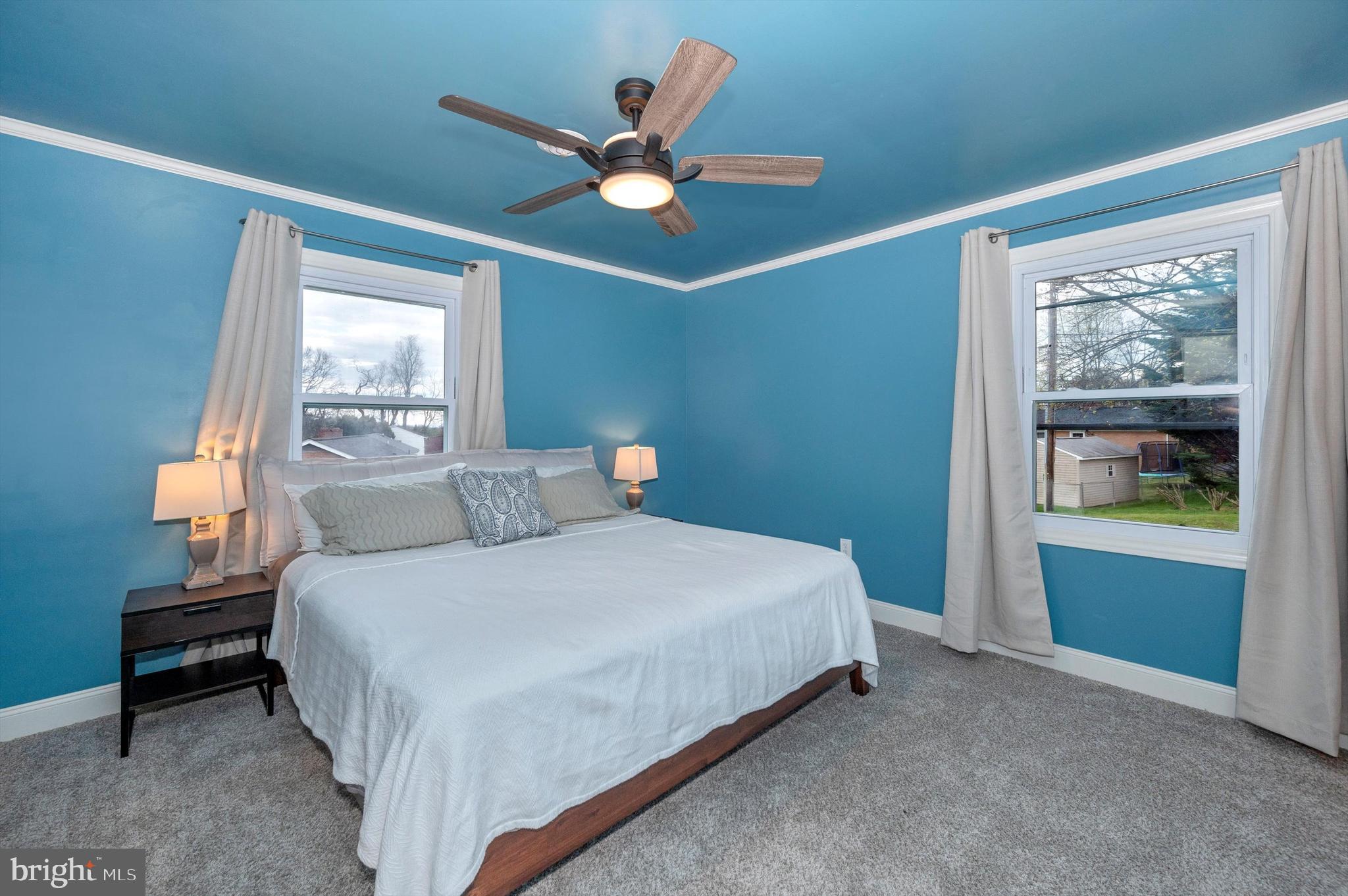 10113 Downsville Pike