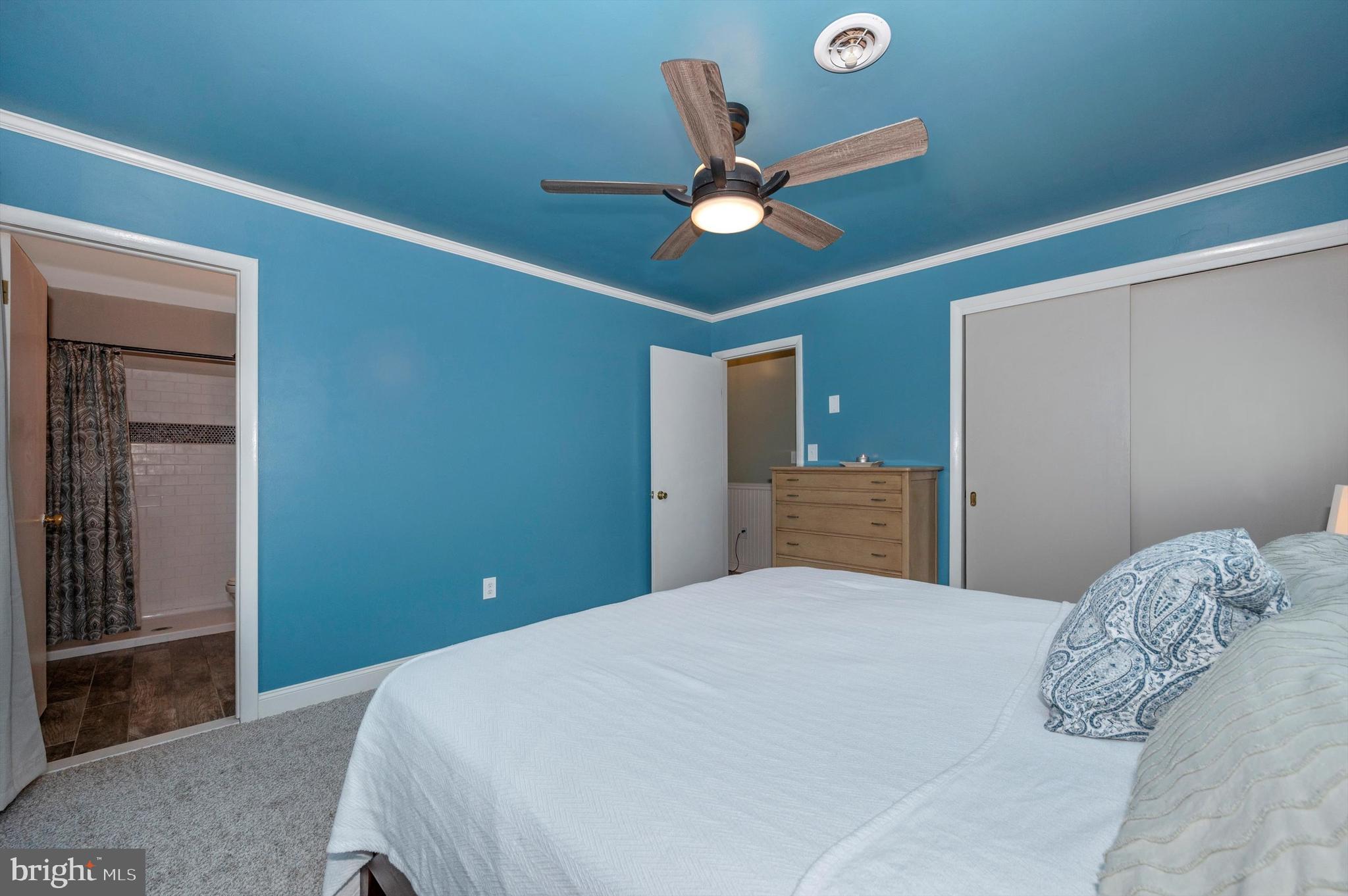 10113 Downsville Pike