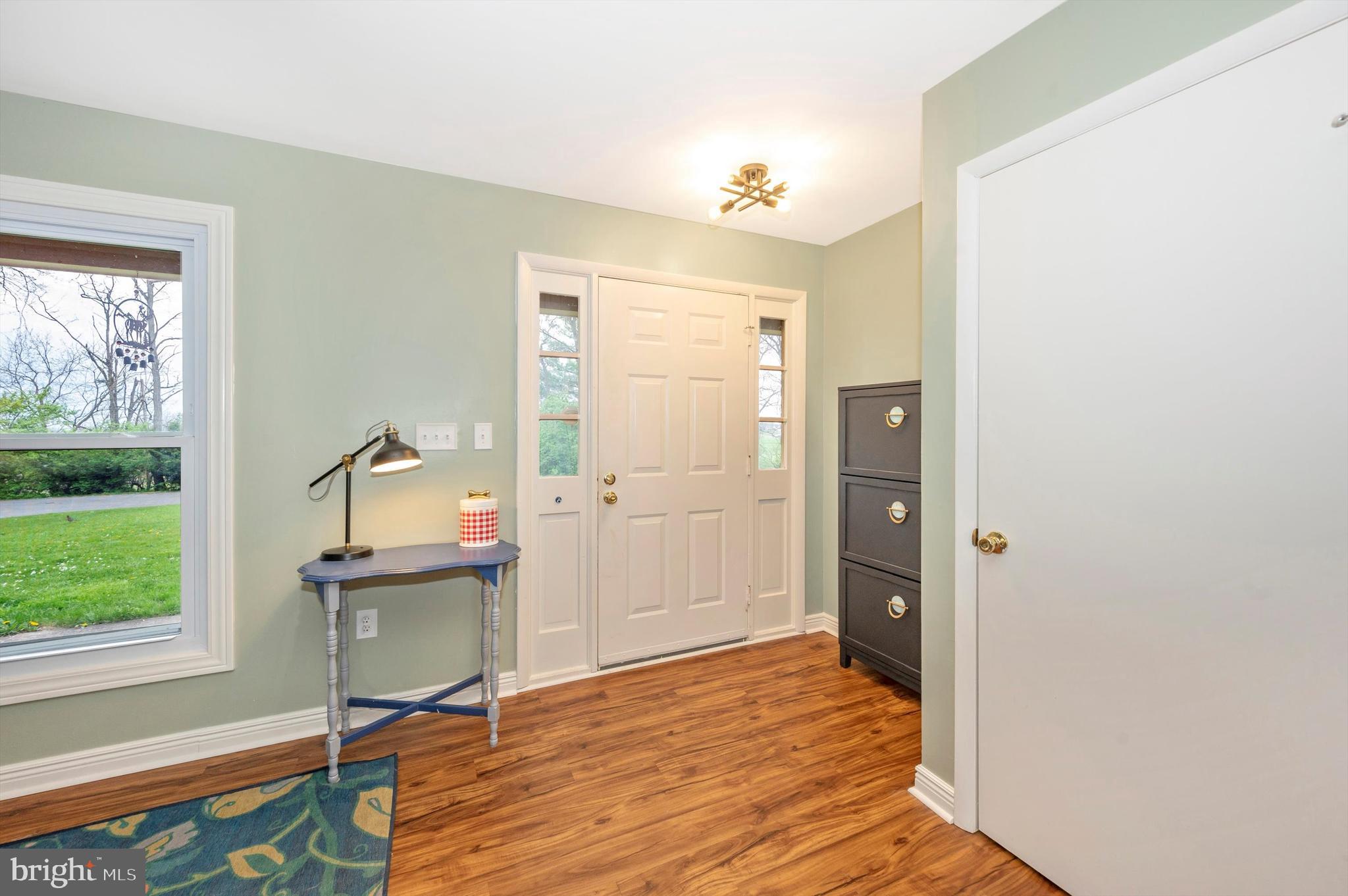 10113 Downsville Pike