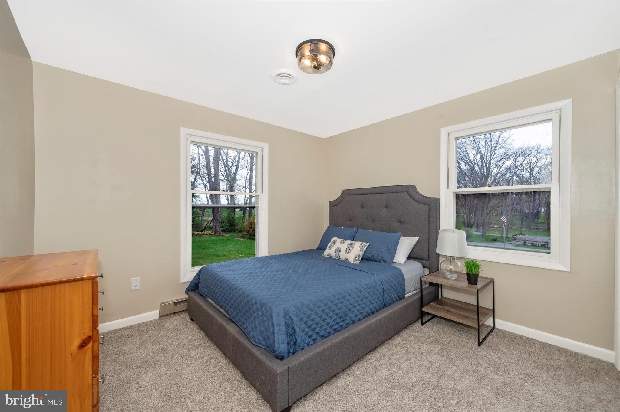 10113 Downsville Pike