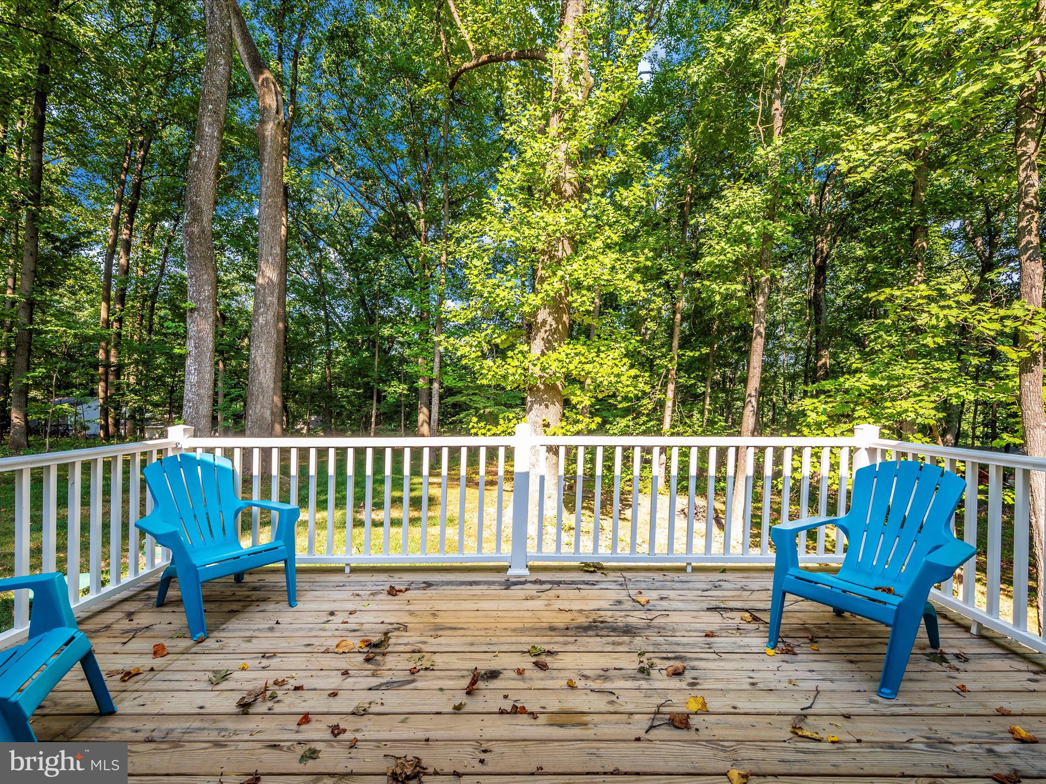 193 Scarlet Oak Dr.