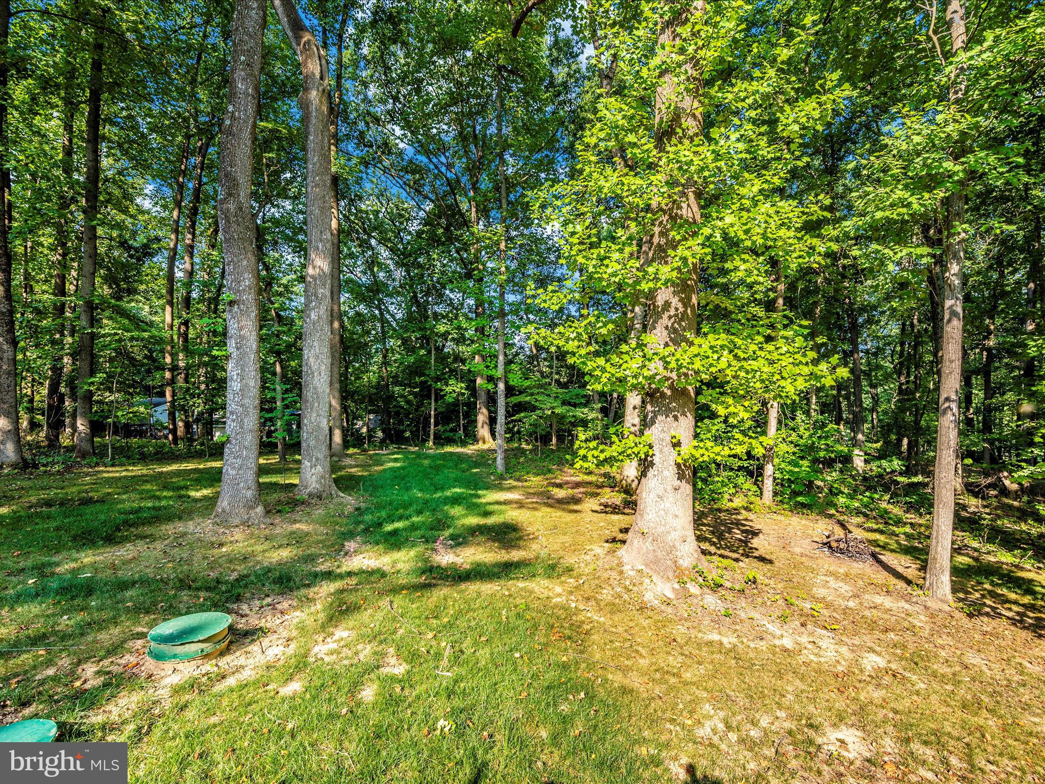 193 Scarlet Oak Dr.