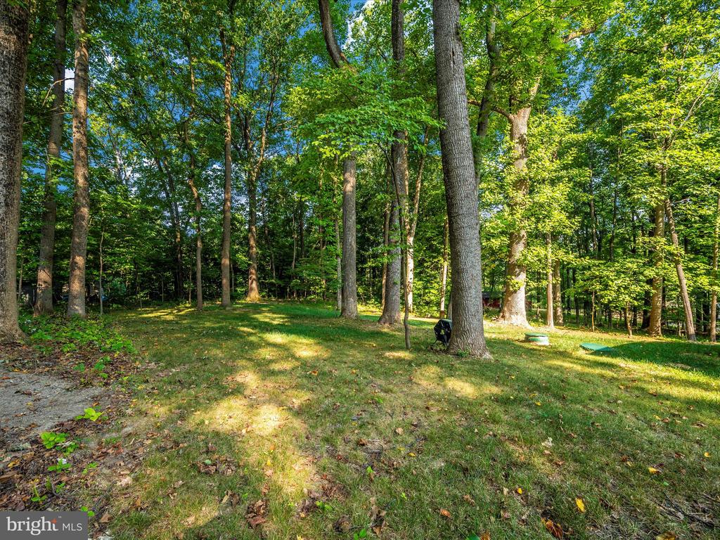 193 Scarlet Oak Dr.