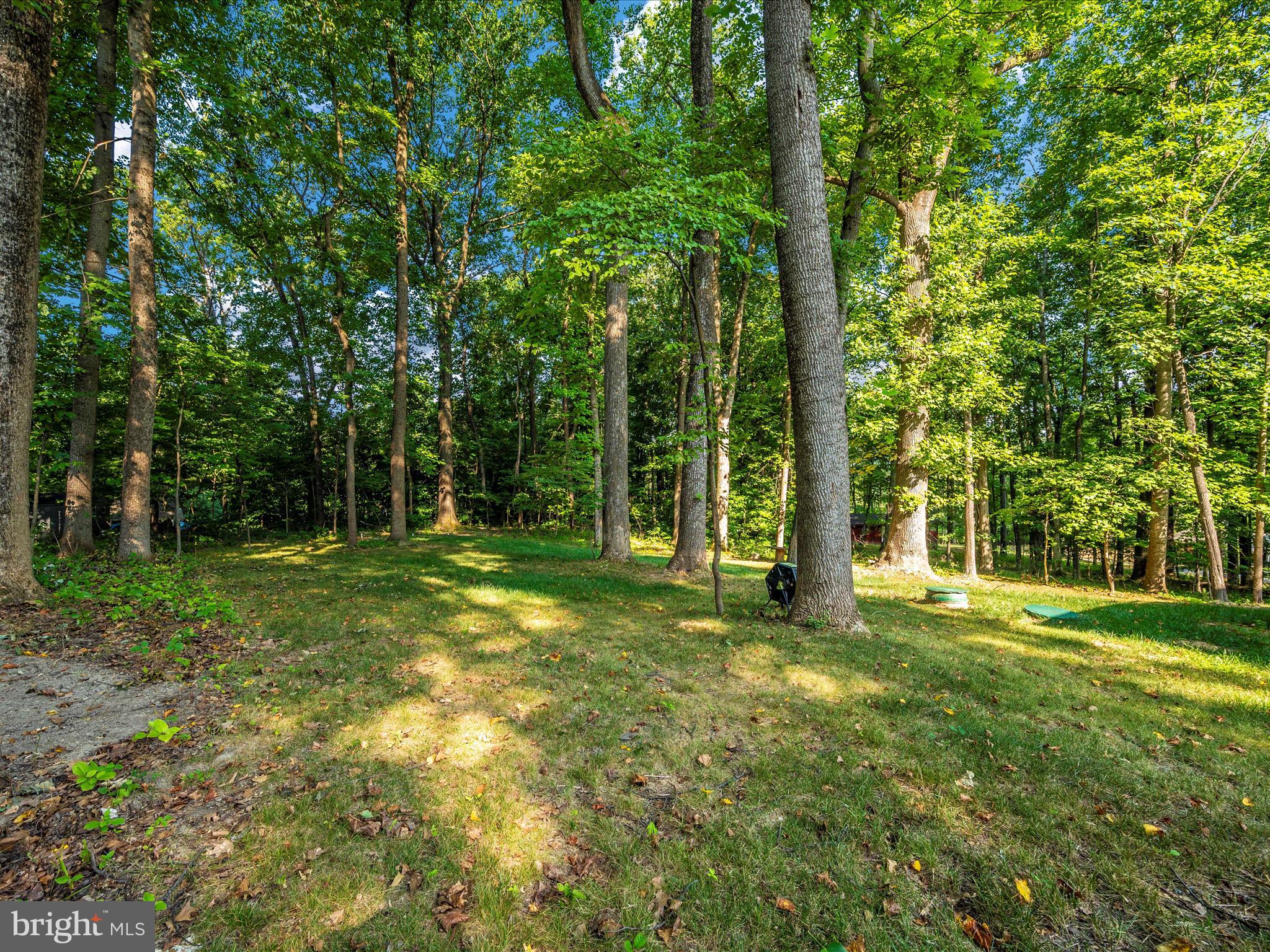 193 Scarlet Oak Dr.