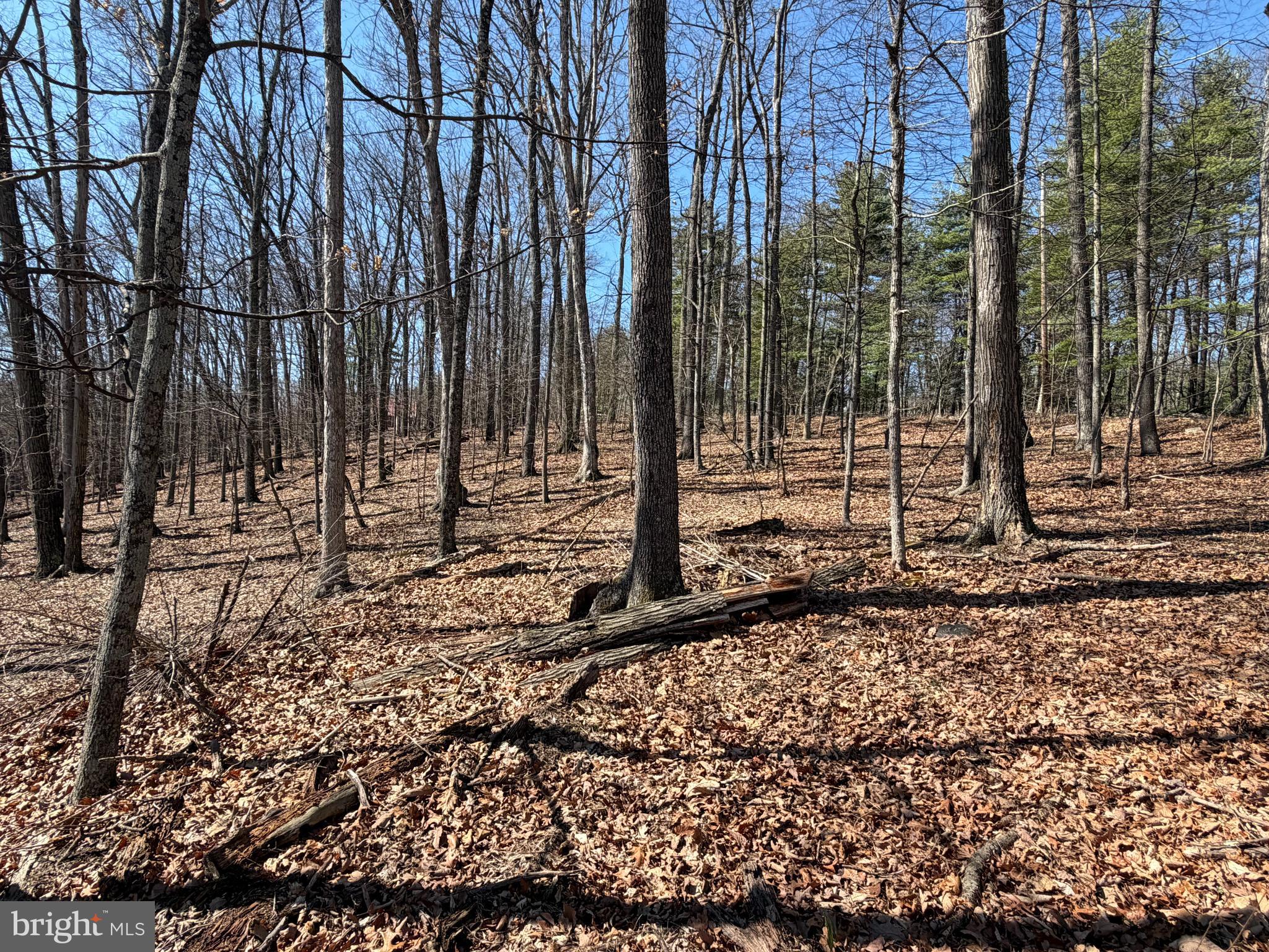 Lot 43 RAPIDS POINT TRL