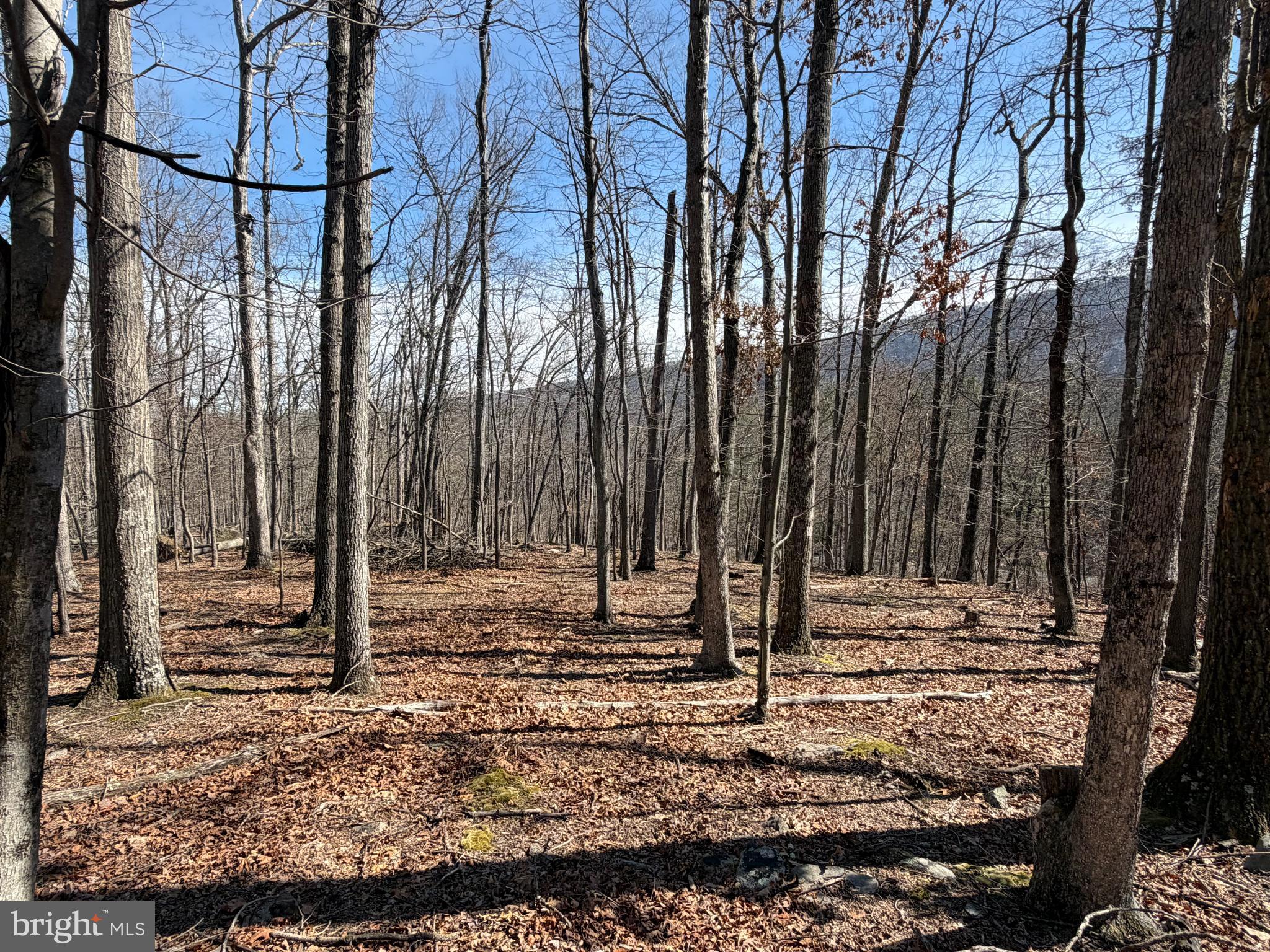 Lot 43 RAPIDS POINT TRL