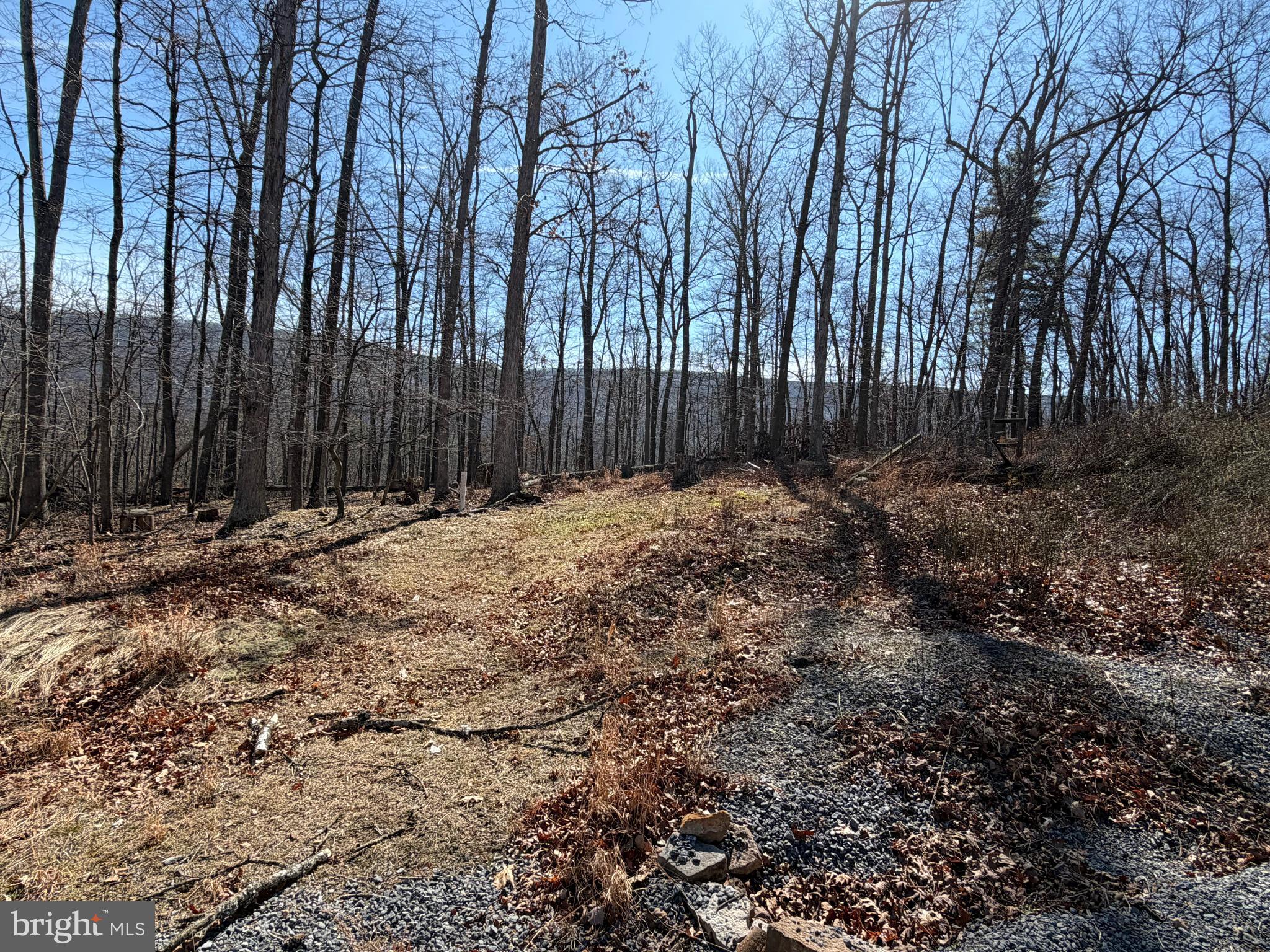 Lot 43 RAPIDS POINT TRL