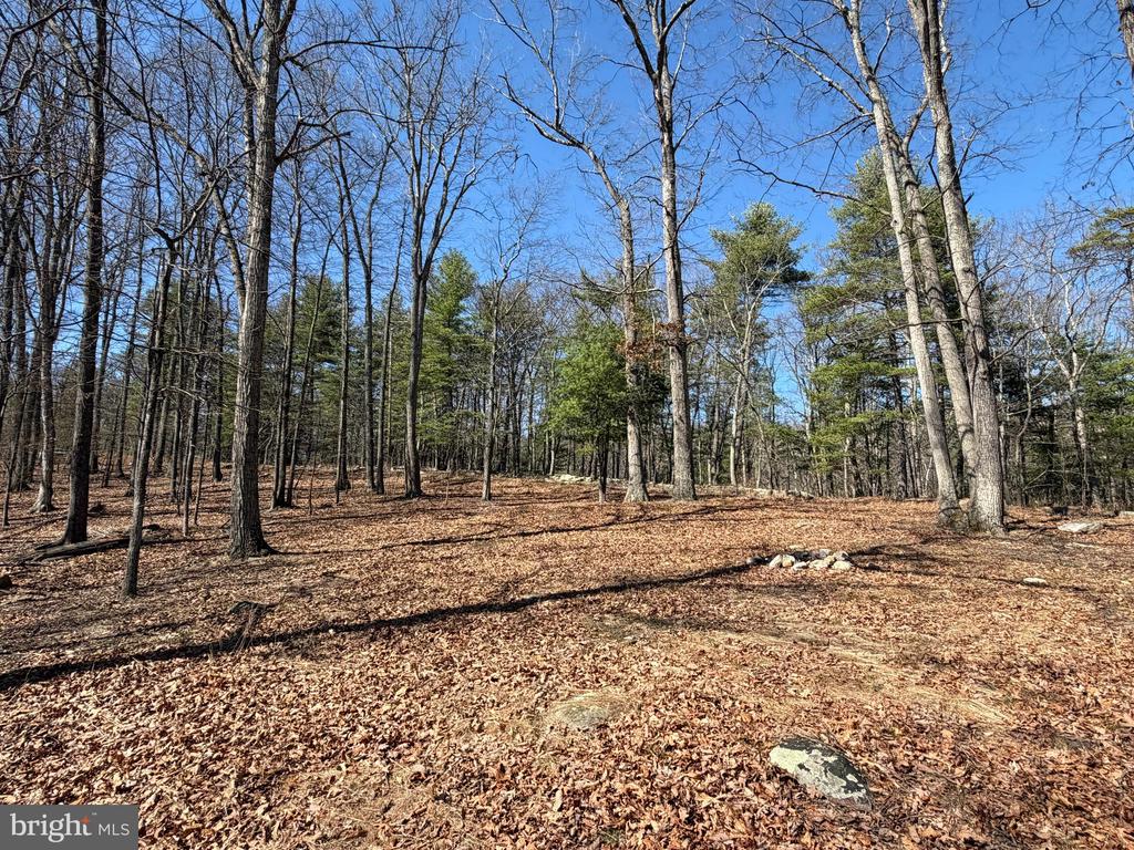 Lot 43 RAPIDS POINT TRL