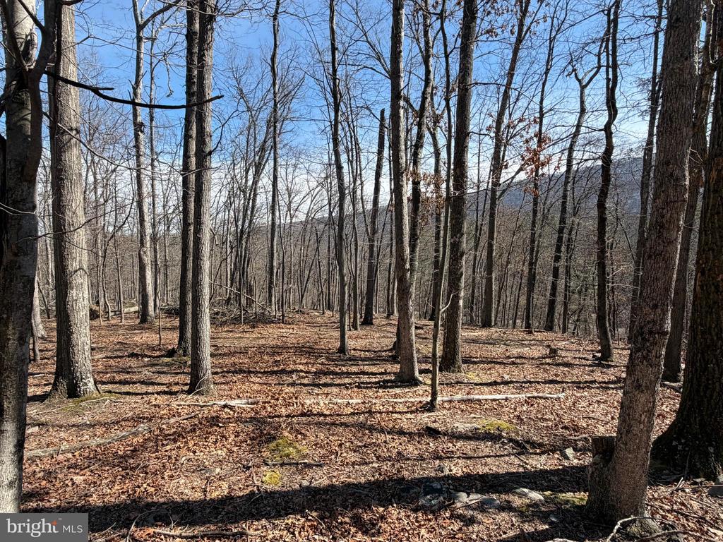 Lot 43 RAPIDS POINT TRL