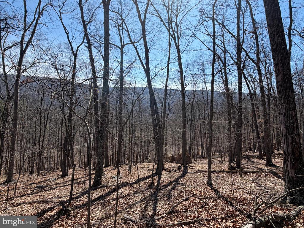 Lot 43 RAPIDS POINT TRL