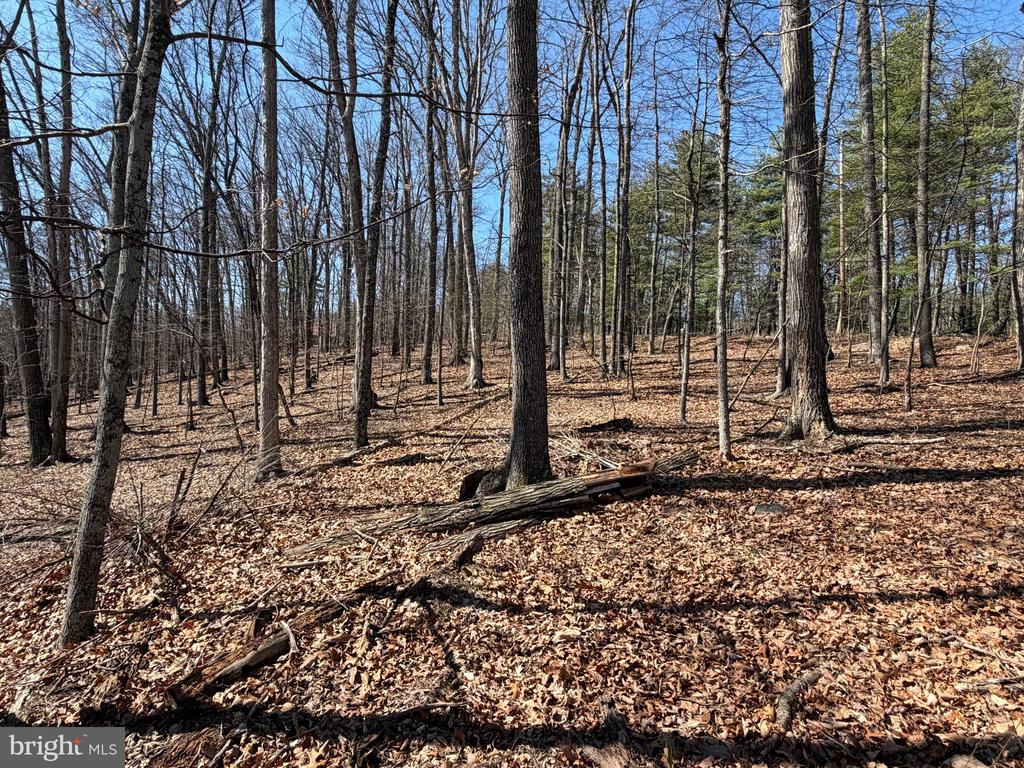 Lot 43 RAPIDS POINT TRL