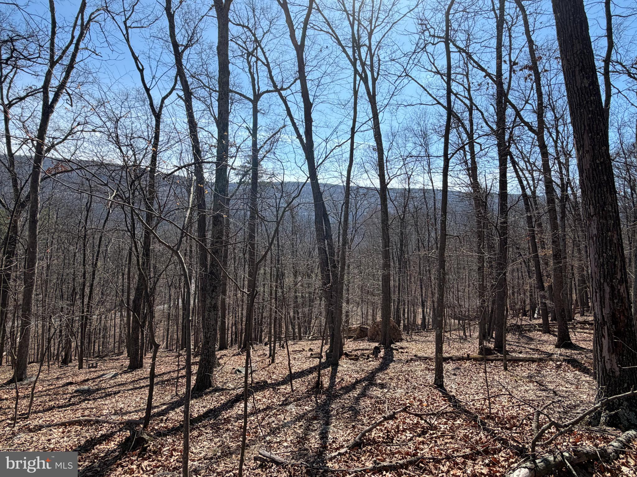 Lot 43 RAPIDS POINT TRL