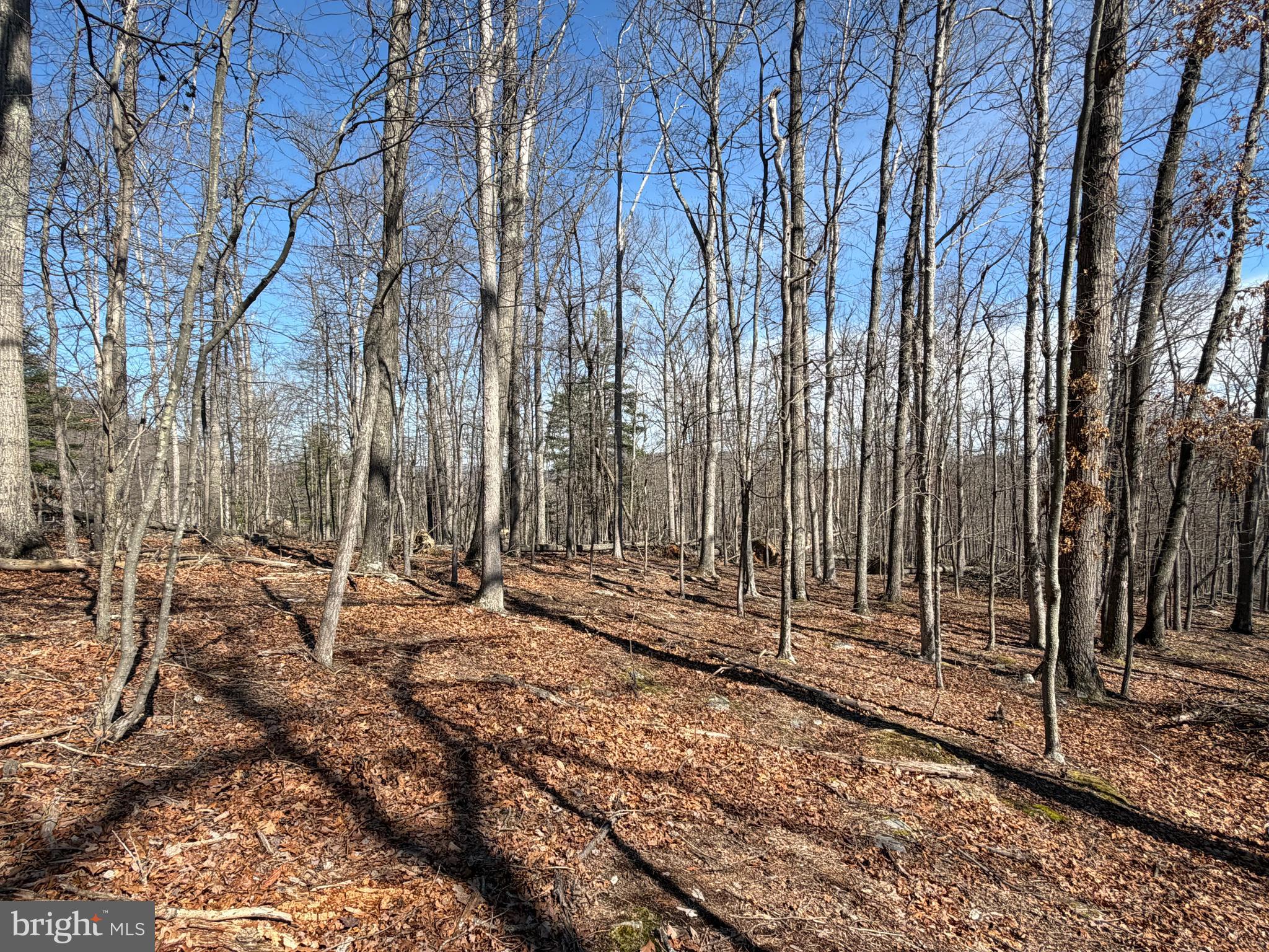 Lot 43 RAPIDS POINT TRL