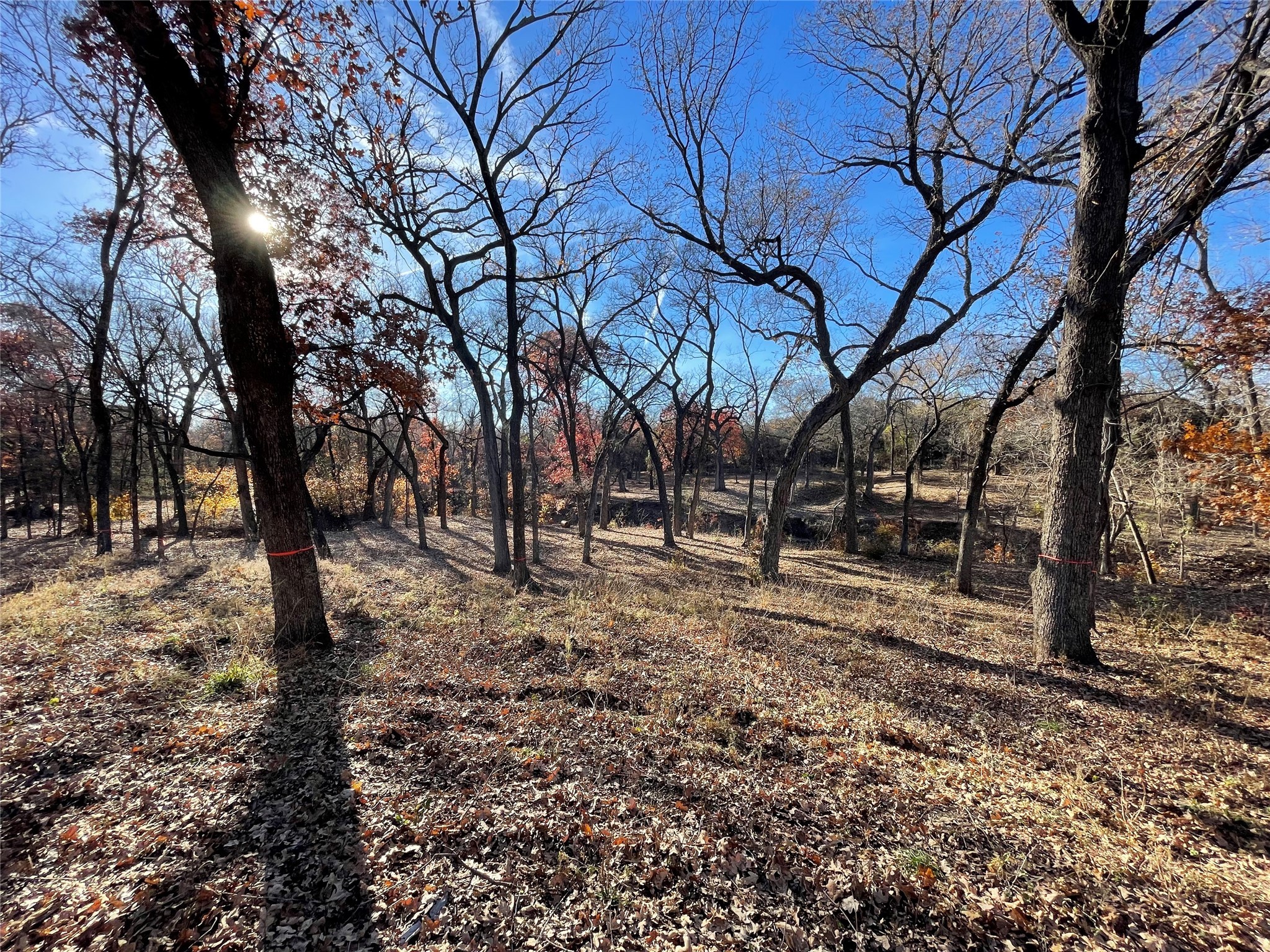 4028 Fall Creek Drive