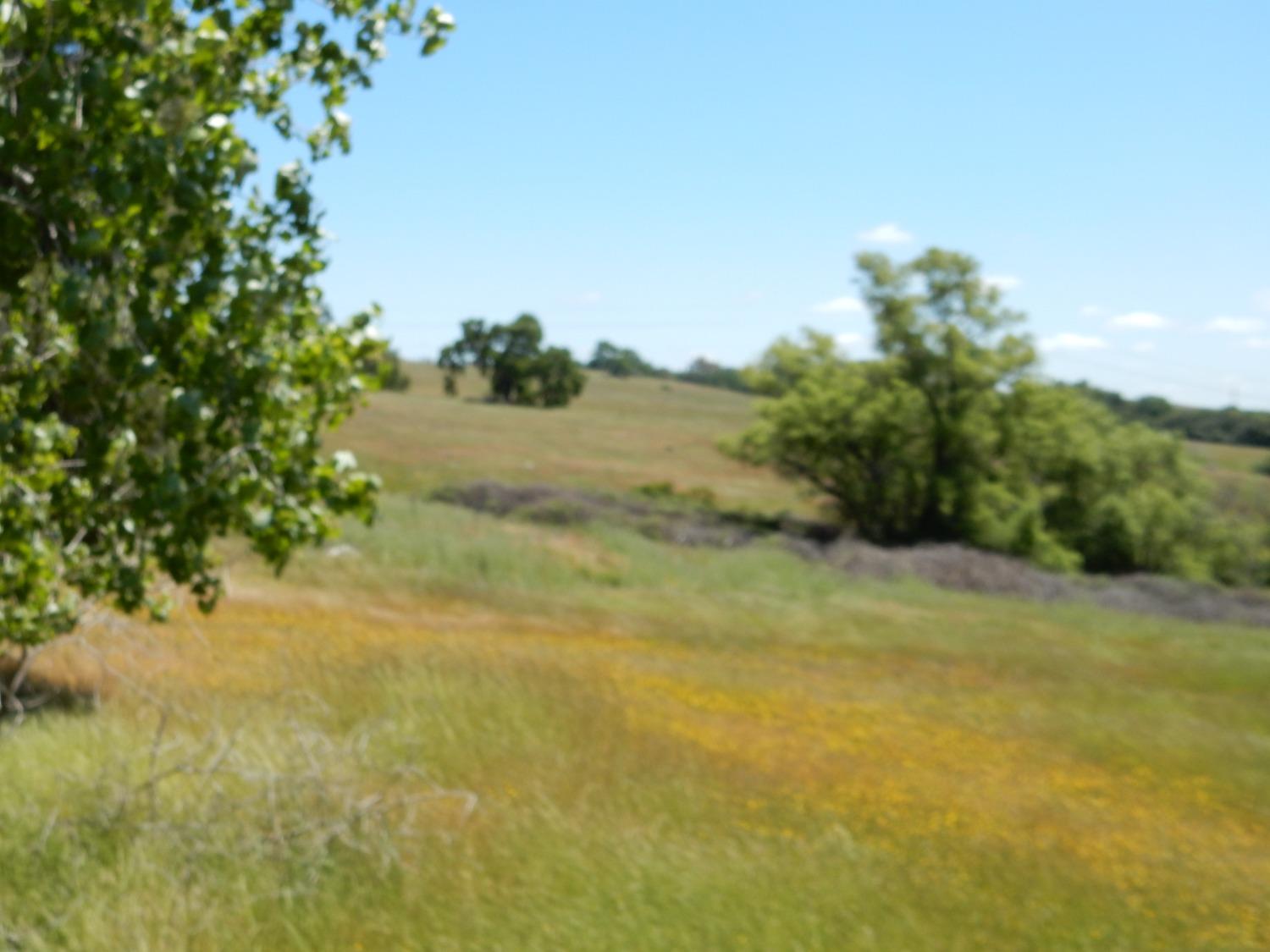 3785 Hollow Oak Drive