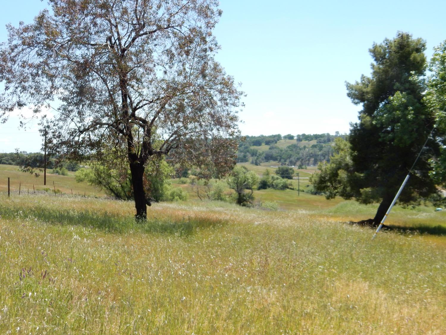 3785 Hollow Oak Drive