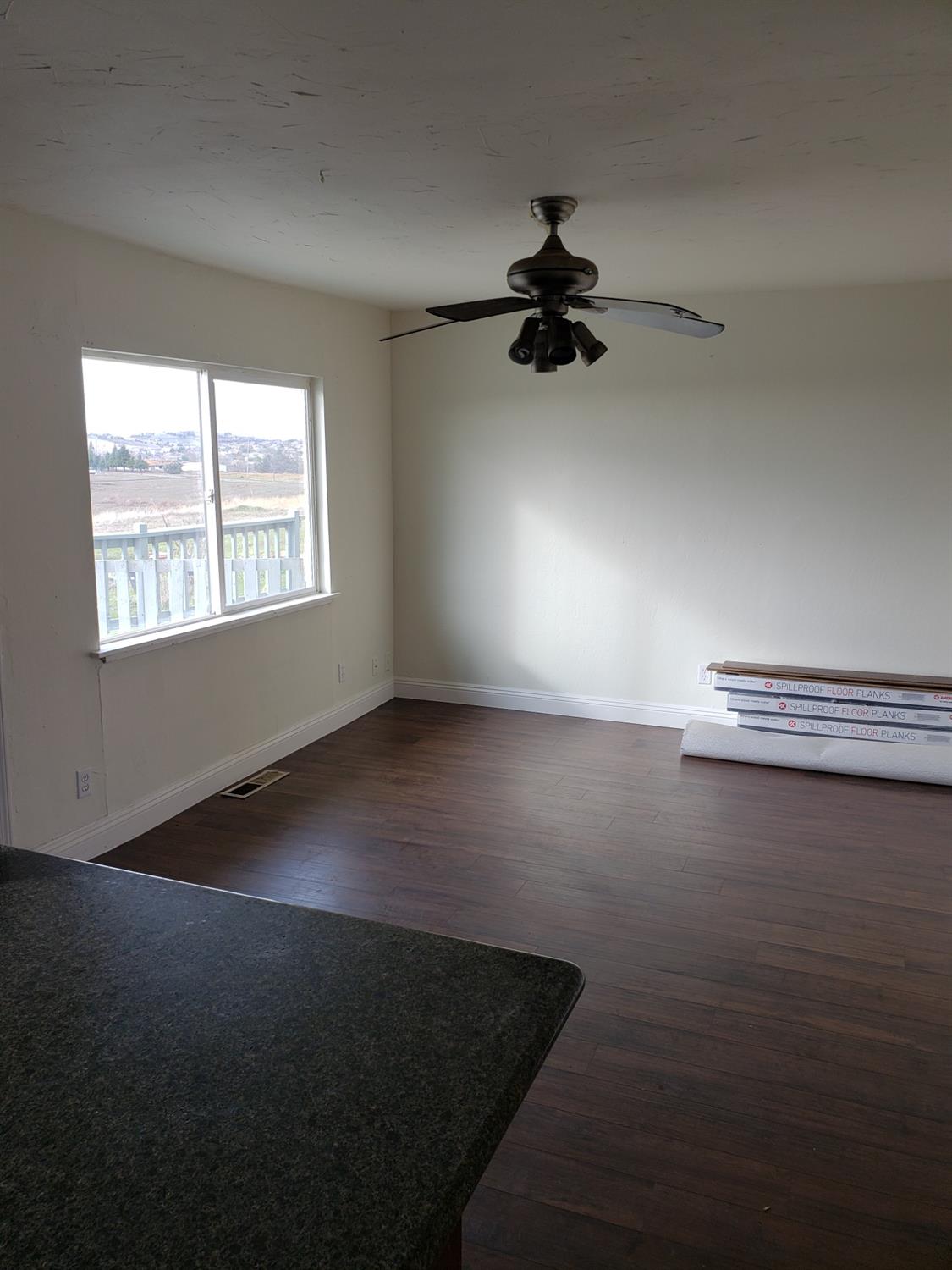 3785 Hollow Oak Drive