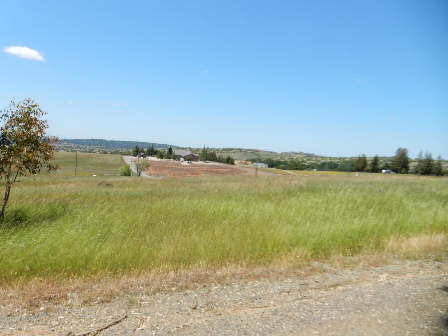 3785 Hollow Oak Drive