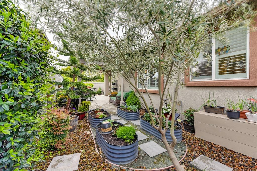 2417 Rockbrook Lane