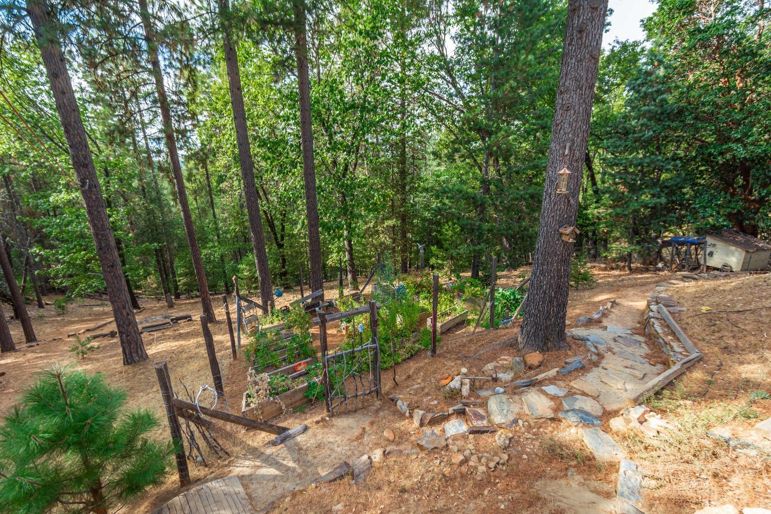 6298 Pine Needle Lane