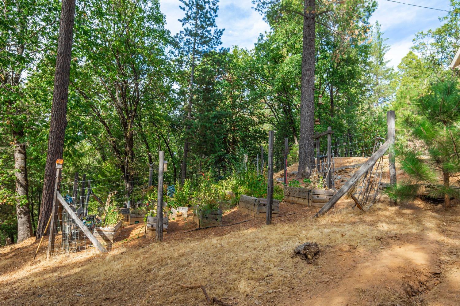 6298 Pine Needle Lane