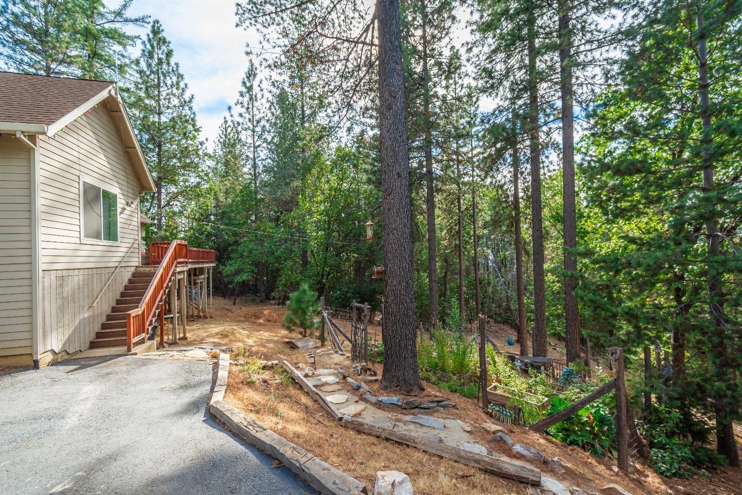 6298 Pine Needle Lane