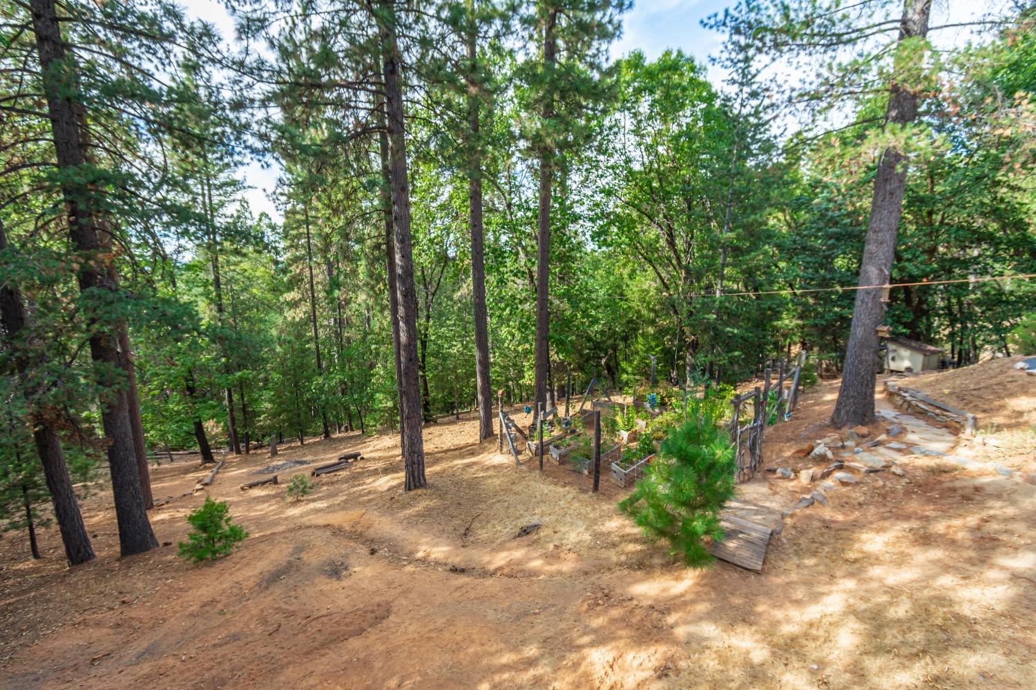 6298 Pine Needle Lane