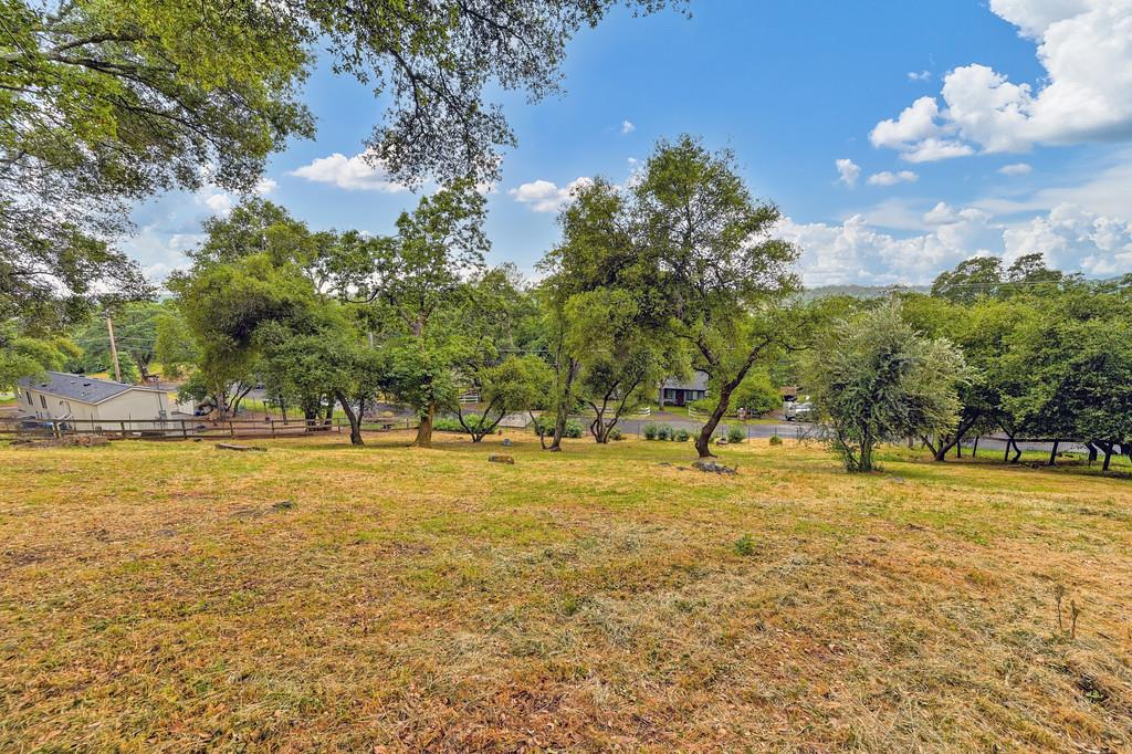 4531 Holly Drive